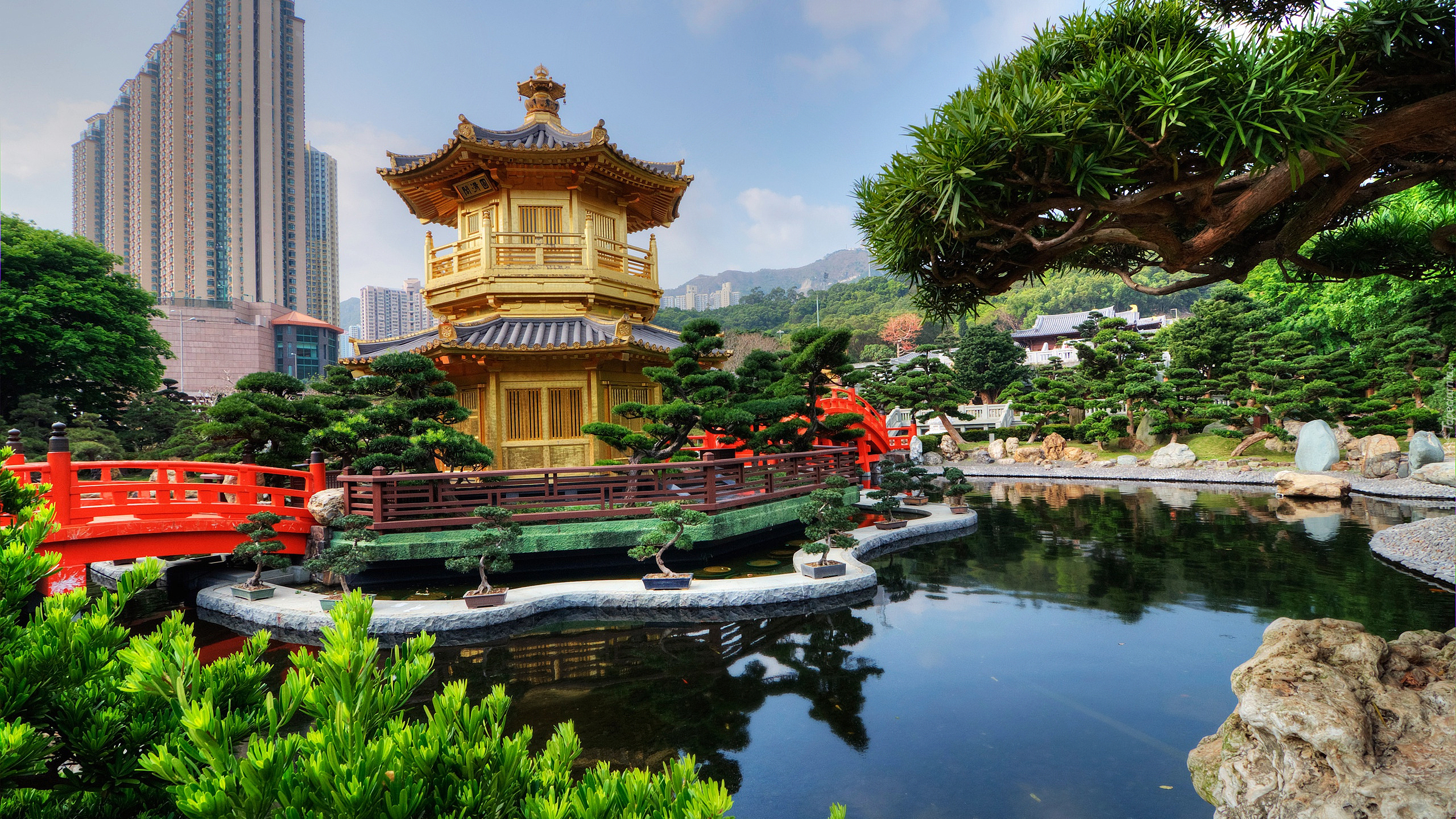 Świątynia, Golden Pavilion Chi Lin Nunnery Temple, Ogród, Chi Lin Nunnery, Staw, Most, Diamond Hill, Hongkong, Chiny