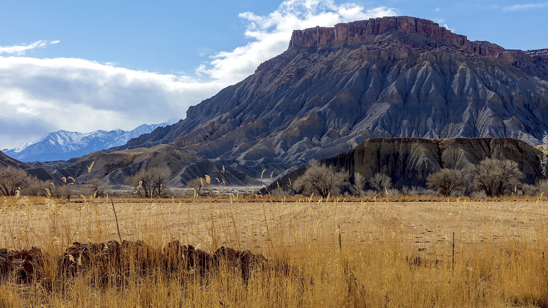 Góry, Sucha, Trawa, Caineville Mesa, Utah, Stany Zjednoczone