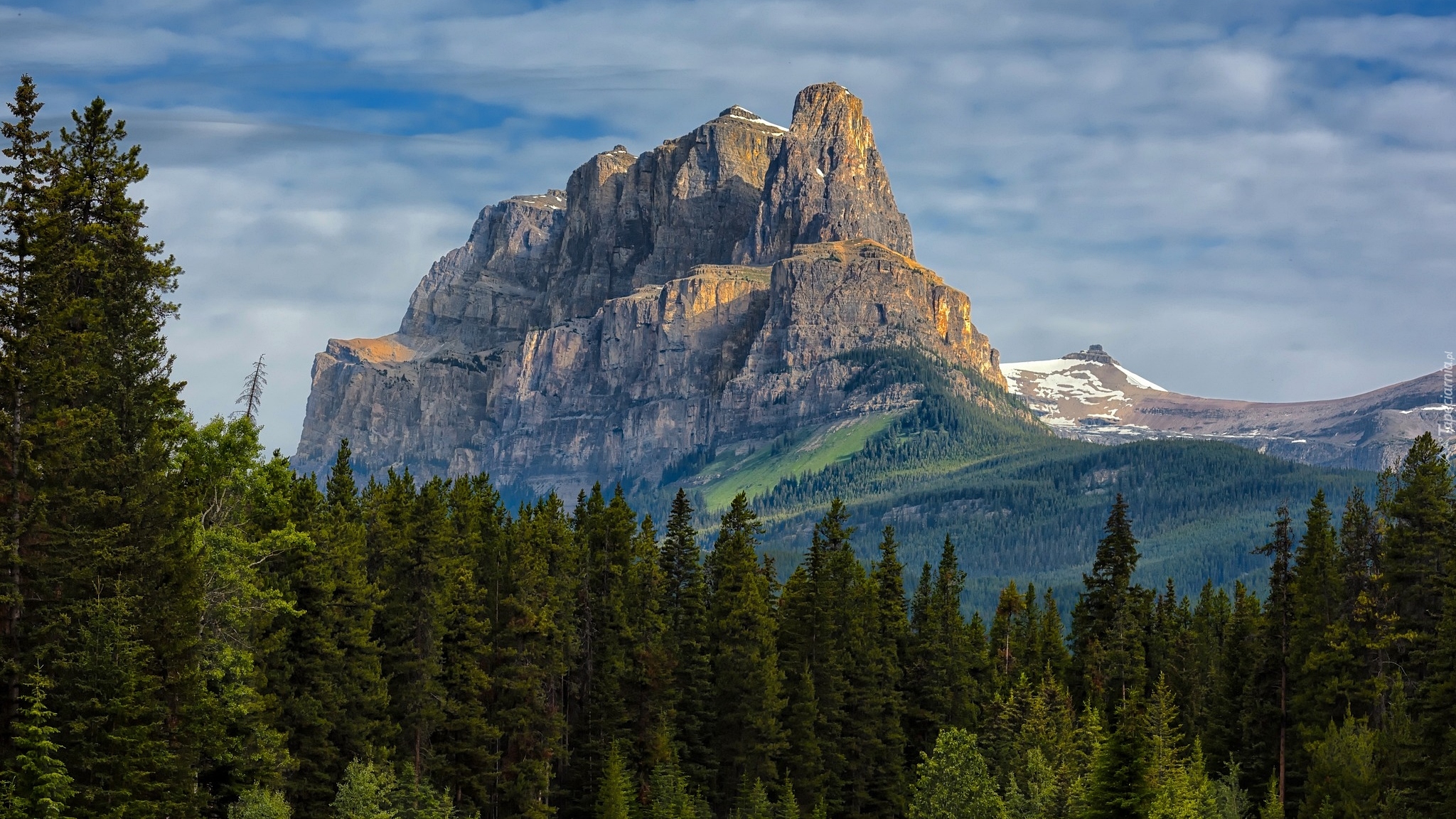 Góry, Góra, Castle Mountain, Drzewa, Park Narodowy Banff, Kanada