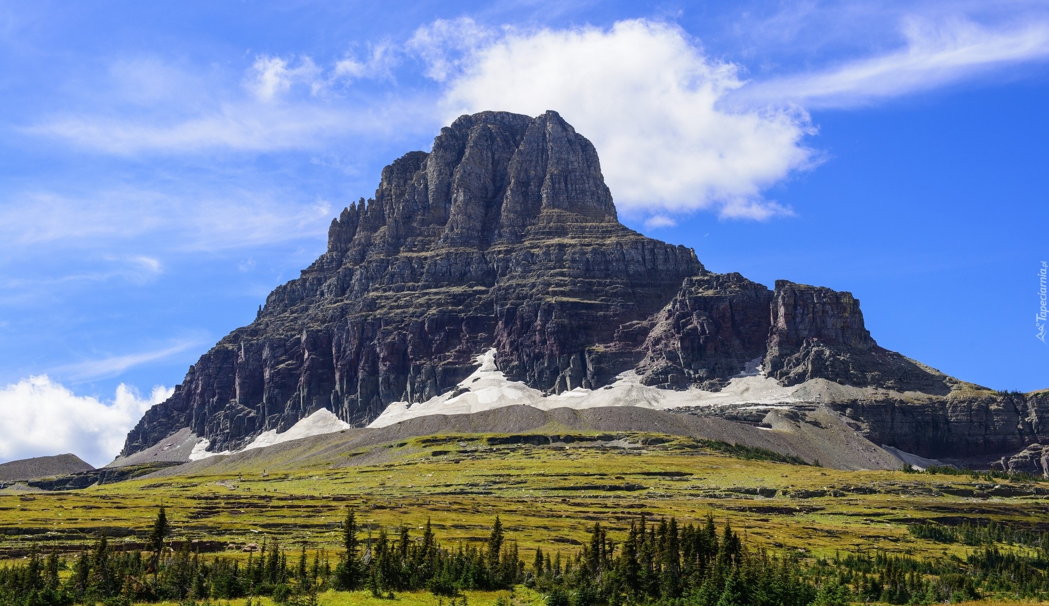 Stany Zjednoczone, Stan Montana, Park Narodowy Glacier, Góry, Góra Clements Mountain, Drzewa