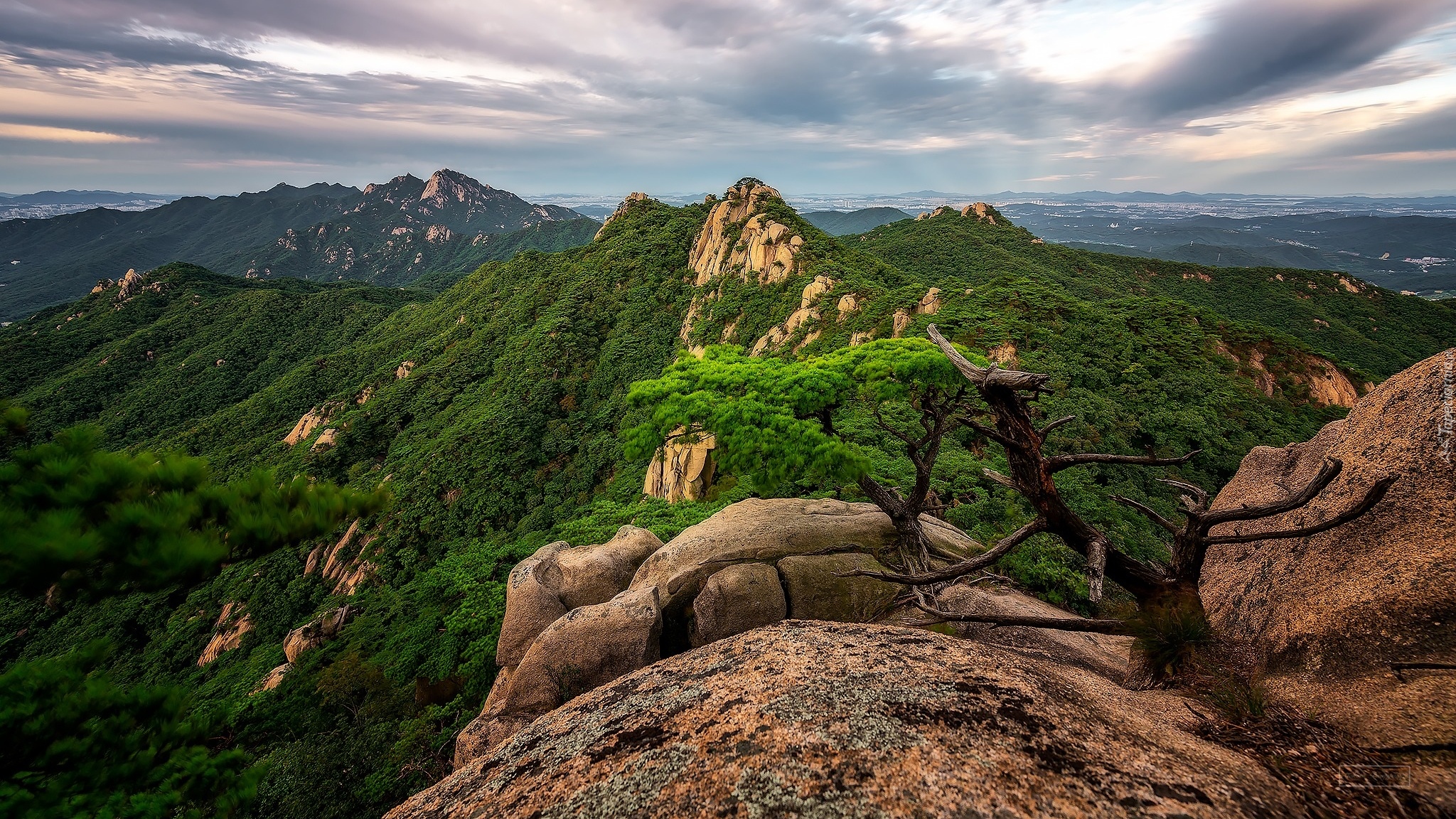 Korea Południowa, Góra, Mount Dobongsan, Skały, Lasy, Sosna, Park Narodowy Bukhansan