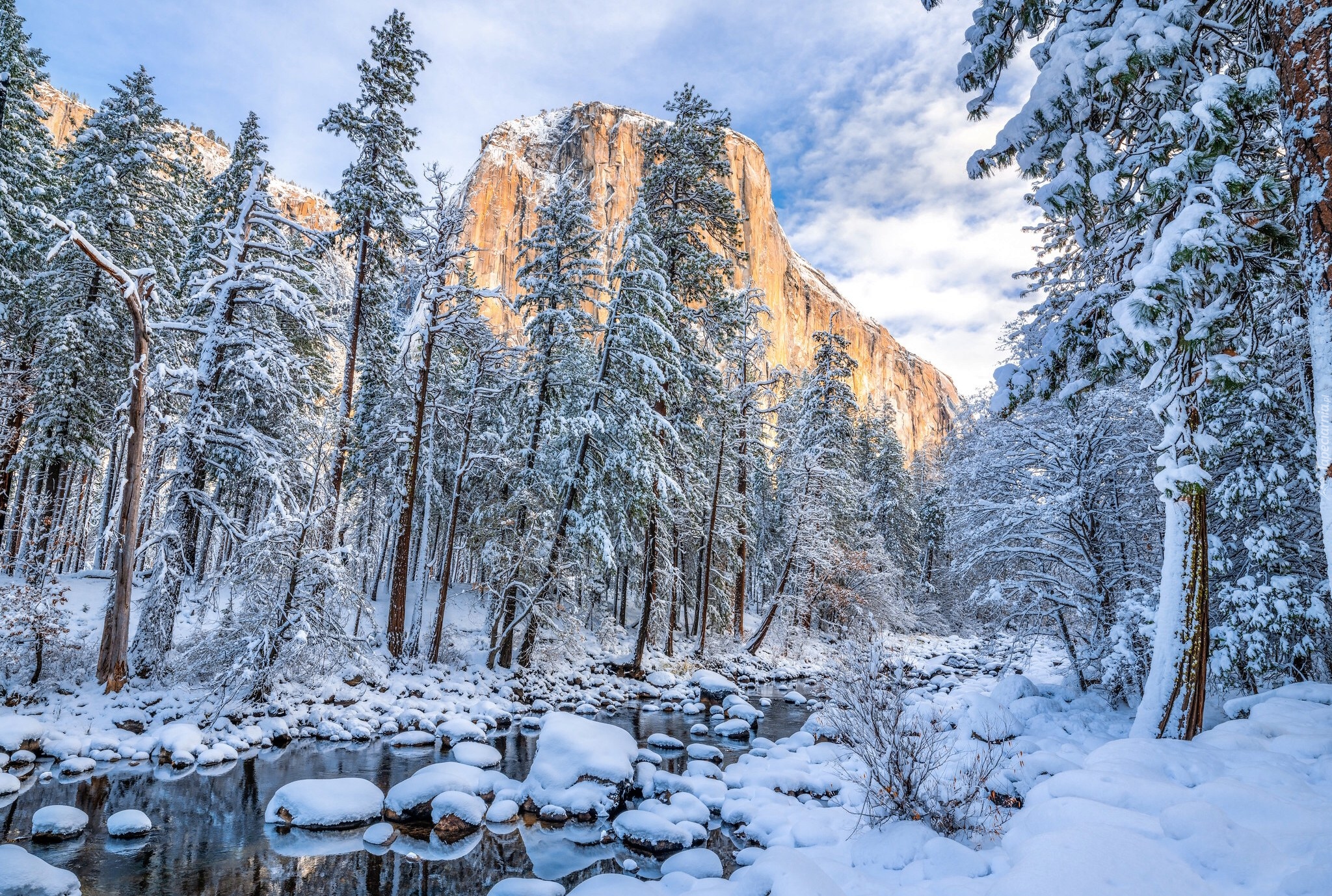 Park Narodowy Yosemite, Kalifornia, Stany Zjednoczone, Zima, Drzewa, Góra, El Capitan, Rzeka