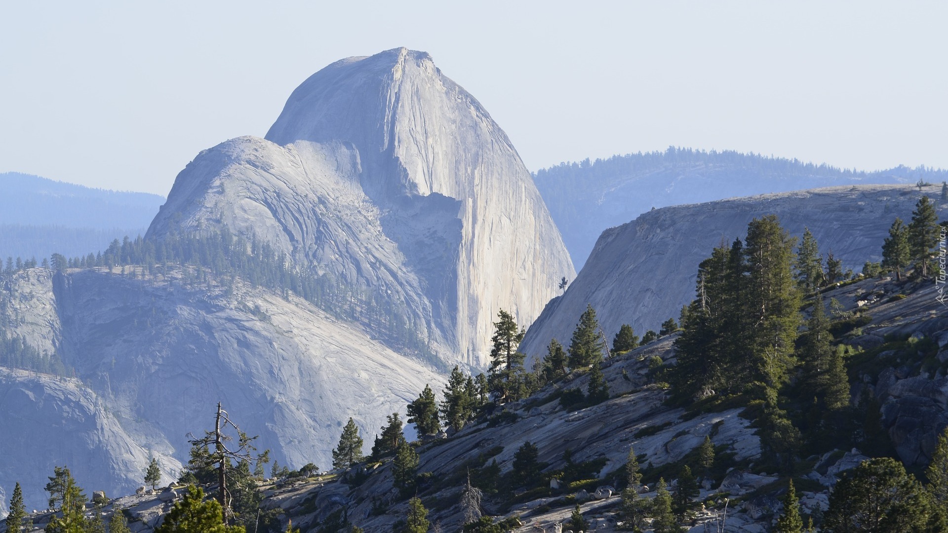 Stany Zjednoczone, Stan Kalifornia, Park Narodowy Yosemite, Góry, Góra Half Dome, Drzewa
