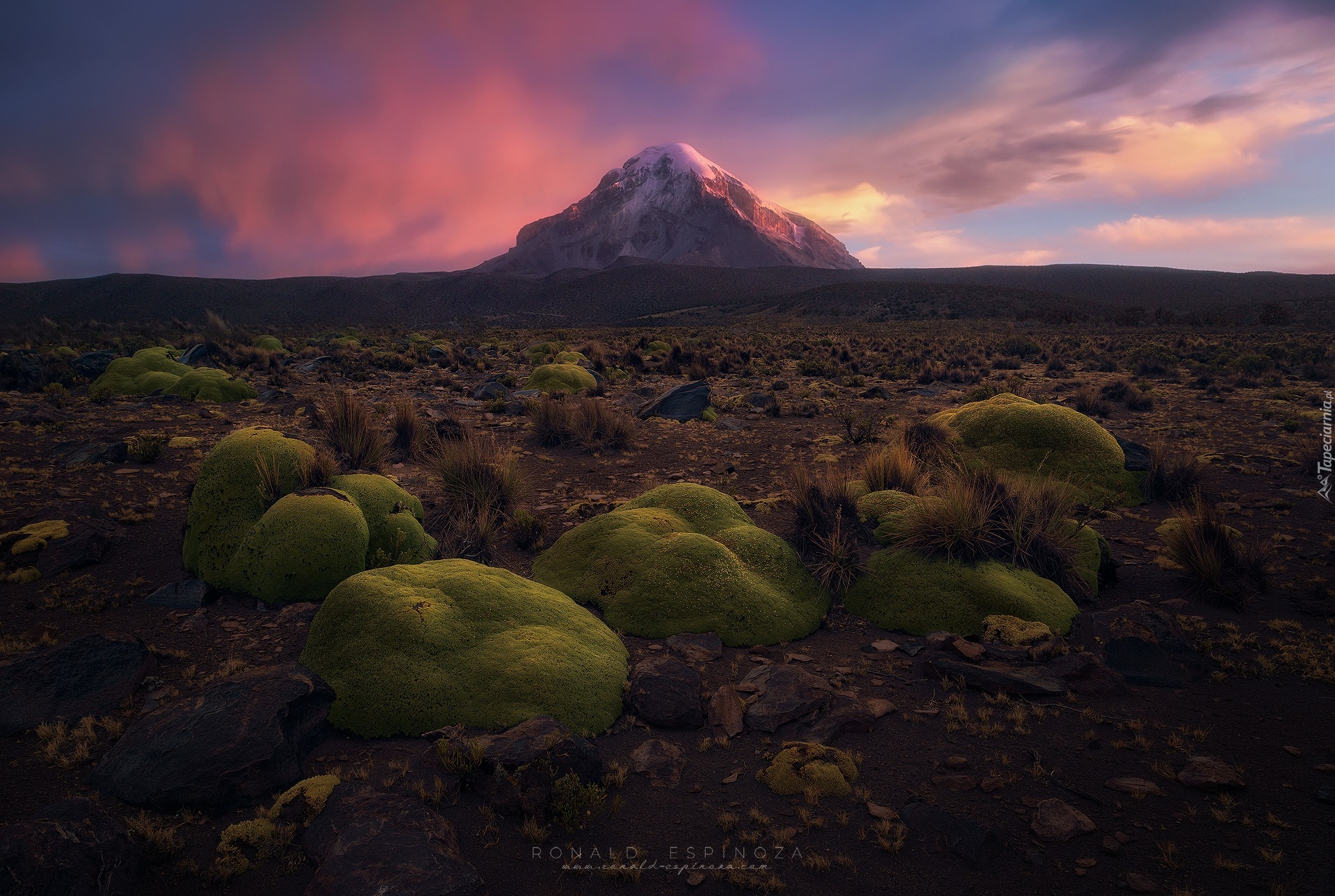 Omszałe, Kamienie, Góra, Park Narodowy Sajama, Boliwia