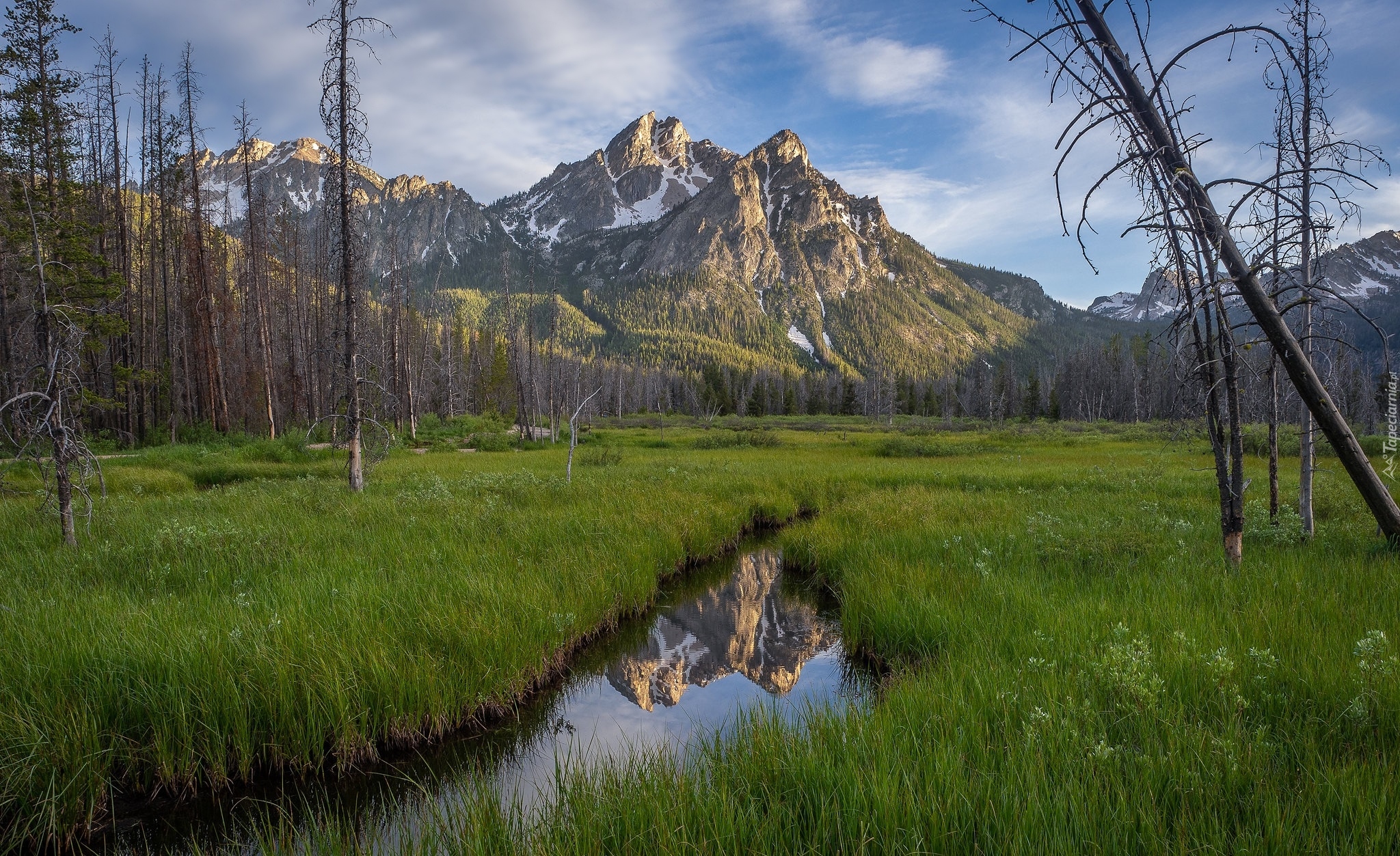 Góry, Góra McGown Peak, Drzewa, Łąka, Rzeka, Potok, Stan Idaho, Stany Zjednoczone