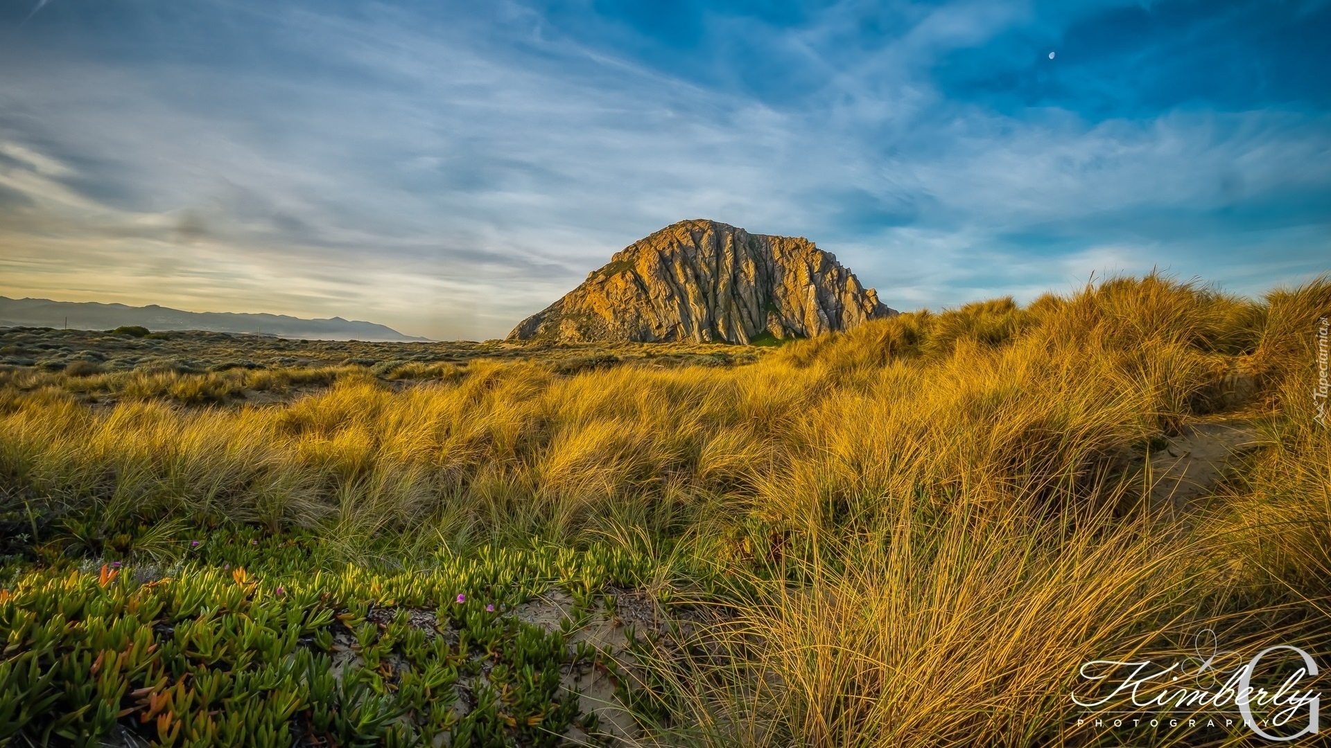 Góra, Morro Rock, Skała, Żółta, Trawa, Rośliny, Księżyc, Kalifornia, Stany Zjednoczone