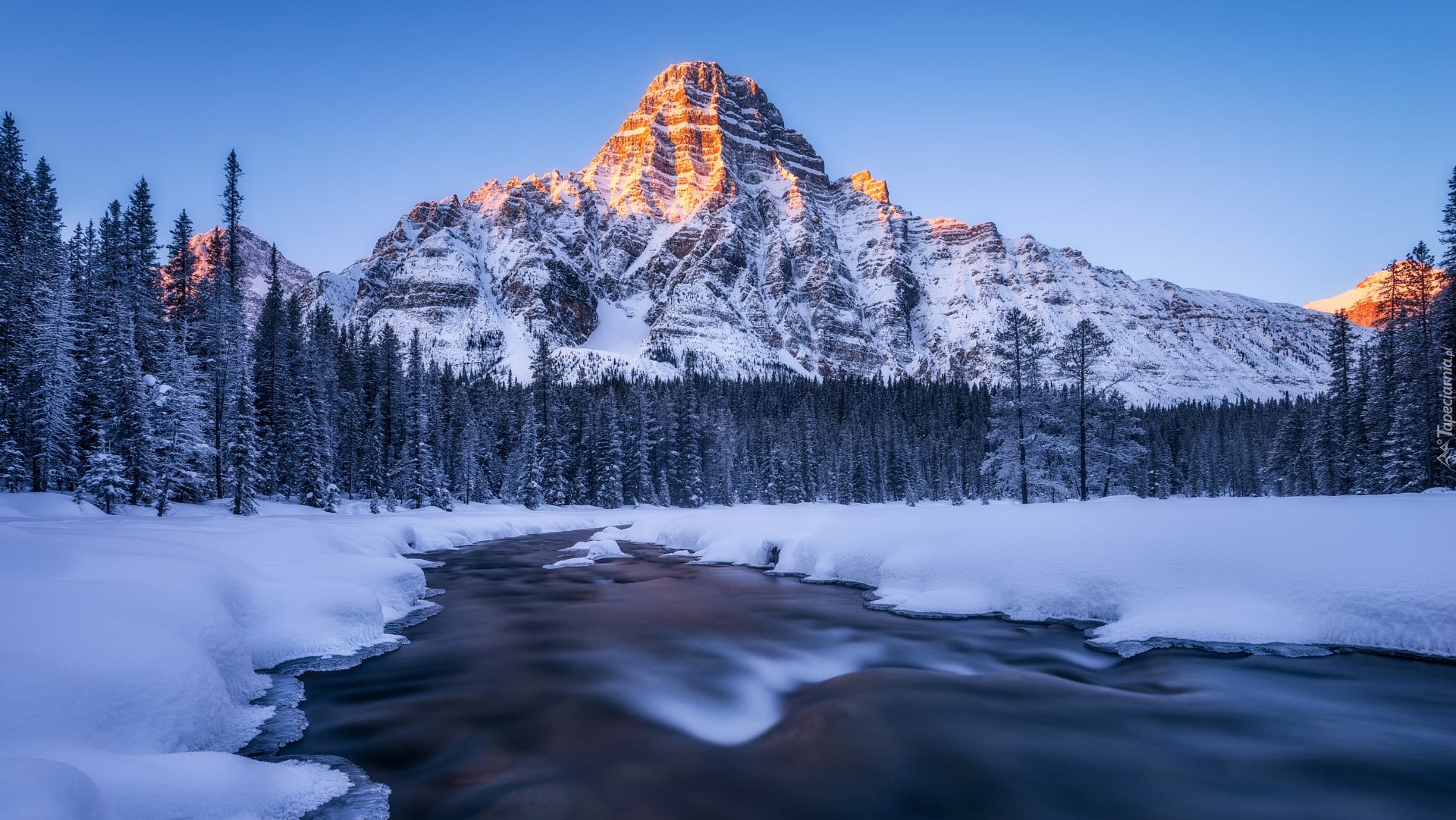 Zima, Góry, Góra, Mount Chephren, Drzewa, Rzeka, Park Narodowy Banff, Kanada