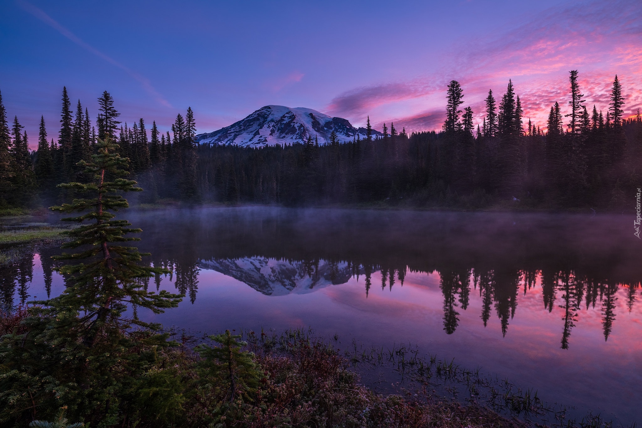 Park Narodowy Mount Rainier, Jezioro Reflection Lake, Góra, Szczyt Mount Rainier, Mgła, Wschód słońca, Drzewa, Las, Stan Waszyngton, Stany Zjednoczone