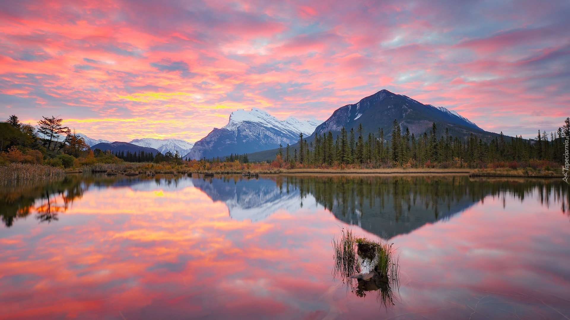 Jezioro, Vermilion Lakes, Góra, Mount Rundle, Góry, Drzewa, Chmury, Odbicie, Park Narodowy Banff, Prowincja Alberta, Kanada