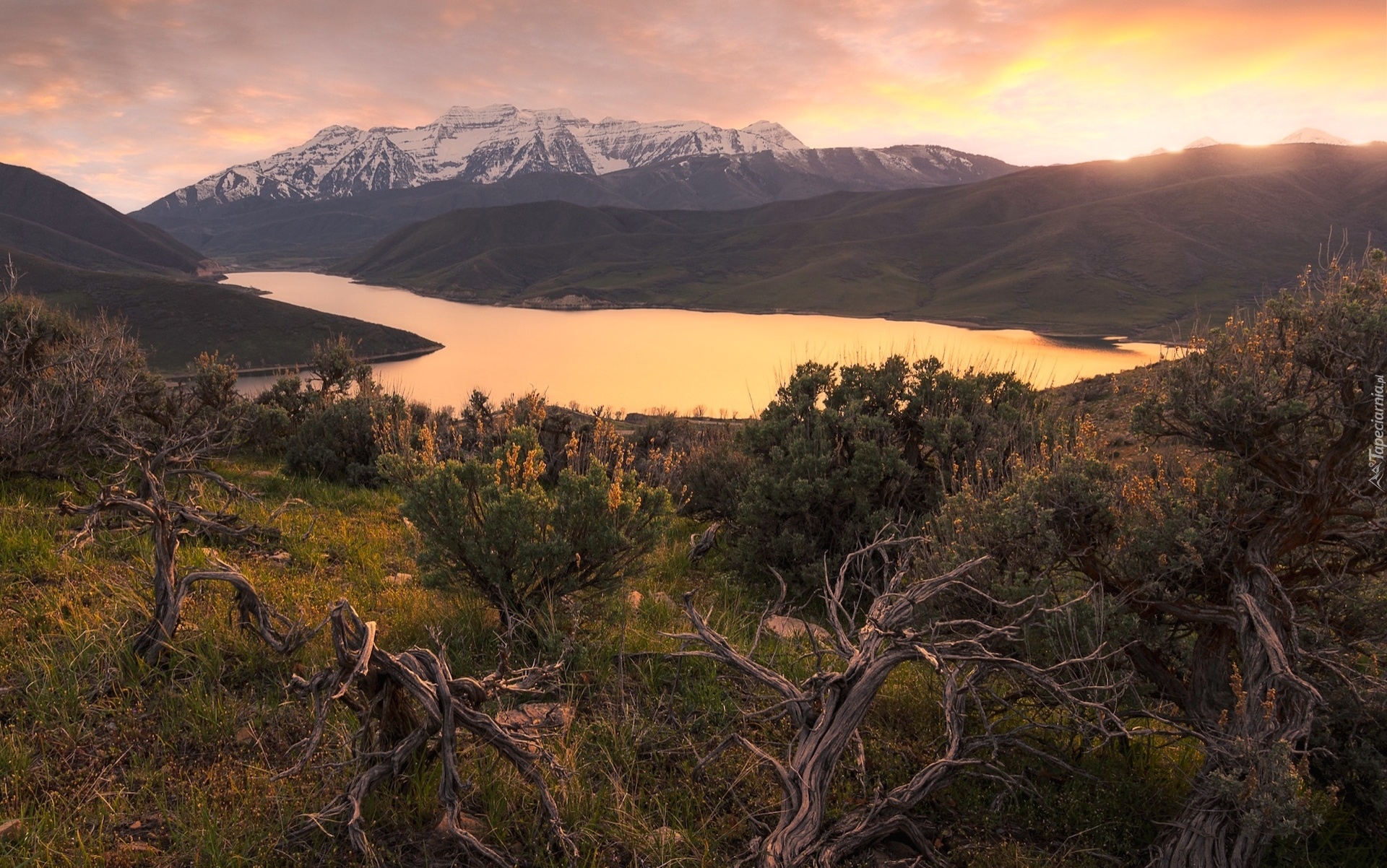 Stany Zjednoczone, Utah, Góra, Mount Timpanogos, Jezioro, Drzewa, Konary