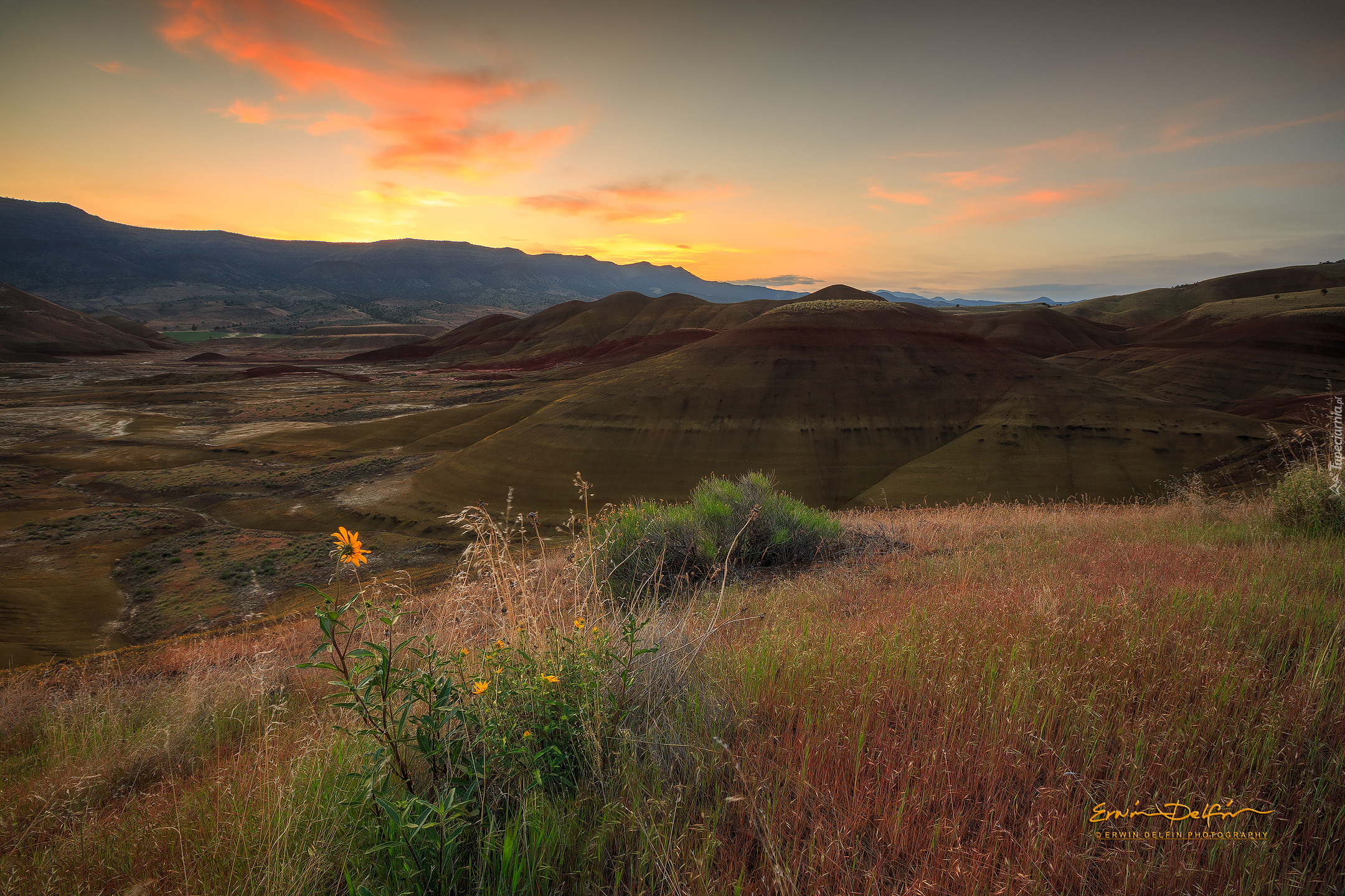 Góry, Góra Painted Hills, Roślinność, Wschód słońca, Park Narodowy John Day Fossil Beds National Monument, Stan Oregon, Stany Zjednoczone