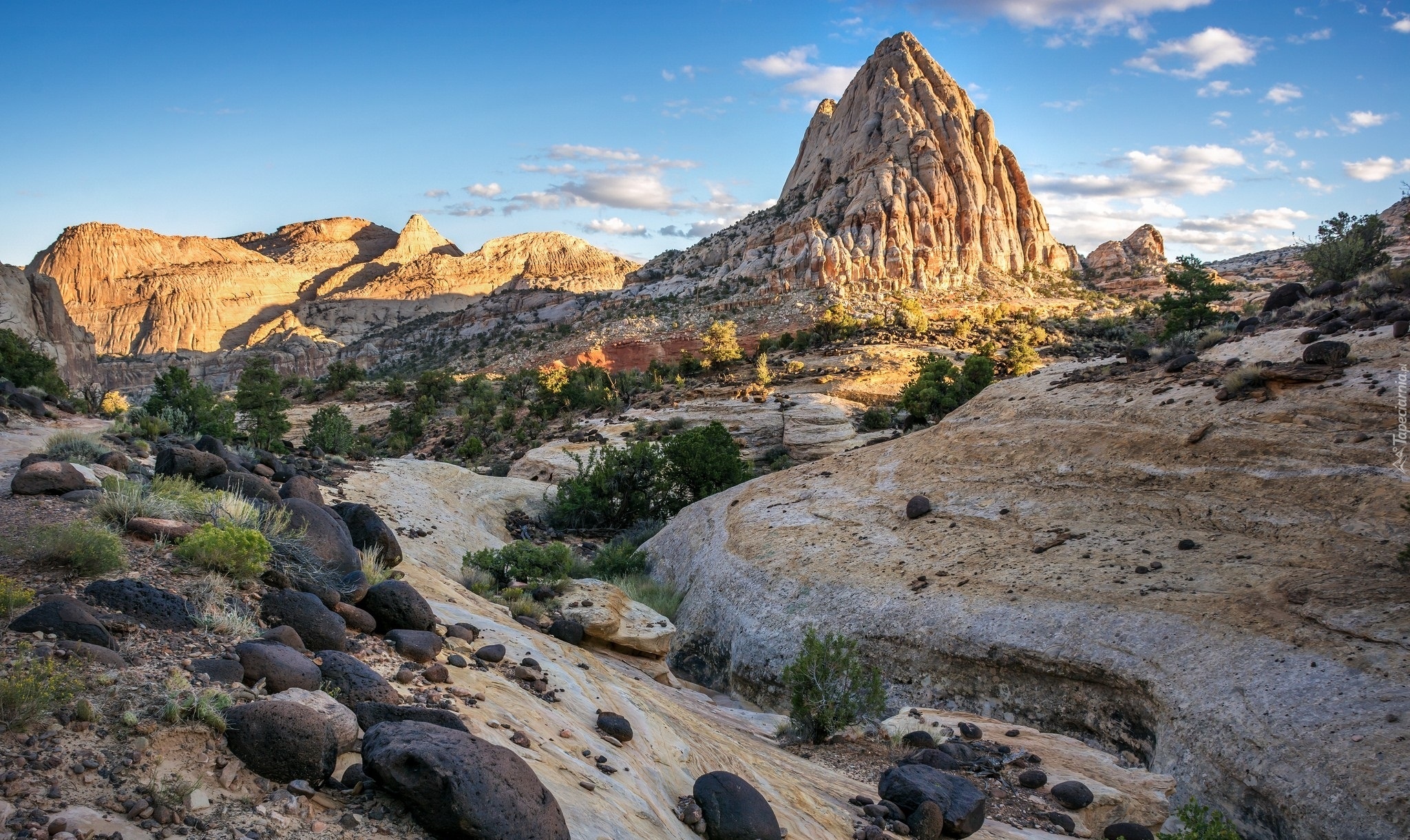 Stany Zjednoczone, Stan Utah, Park Narodowy Capitol Reef, Góra Pectols Pyramid, Góry, Rośliny, Kamienie