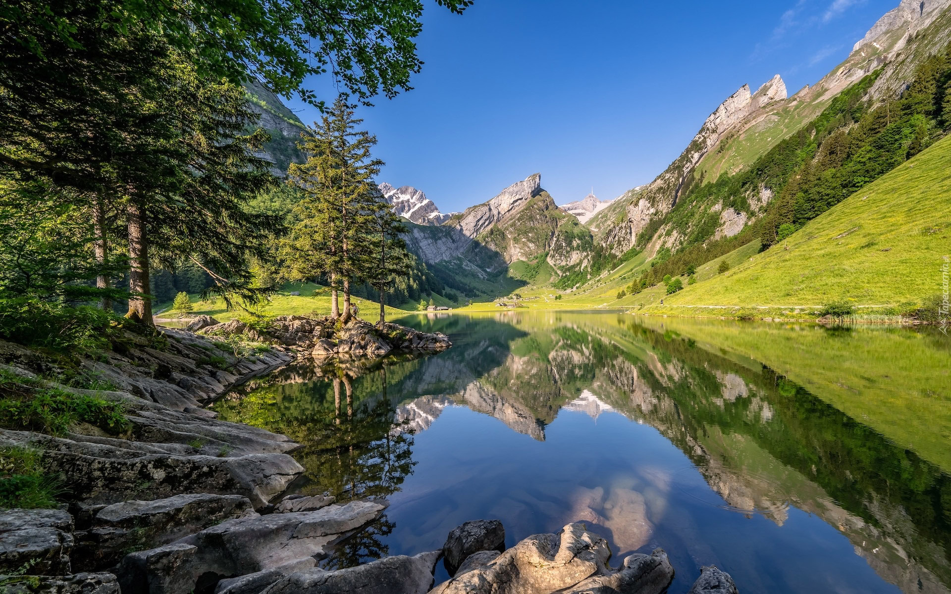 G ra Santis W Alpach Szwajcarskich G ra Santis W Alpach Szwajcarskich