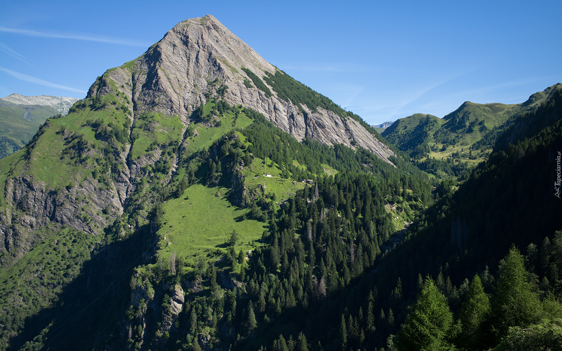 Szwajcaria, Góry, Alpy Lepontyjskie, Góra, Sosto Mountain, Skały, Drzewa, Krzewy, Trawa