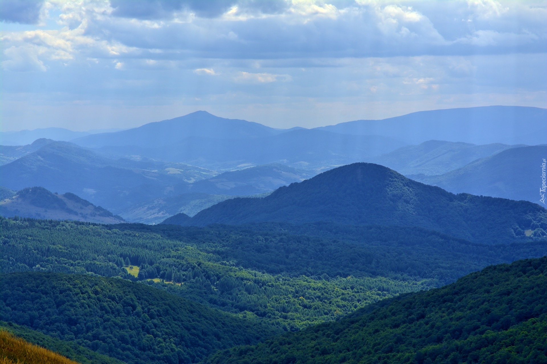 Bieszczady, Góry, Góra Tarnica, Wzgórza, Lasy, Polska