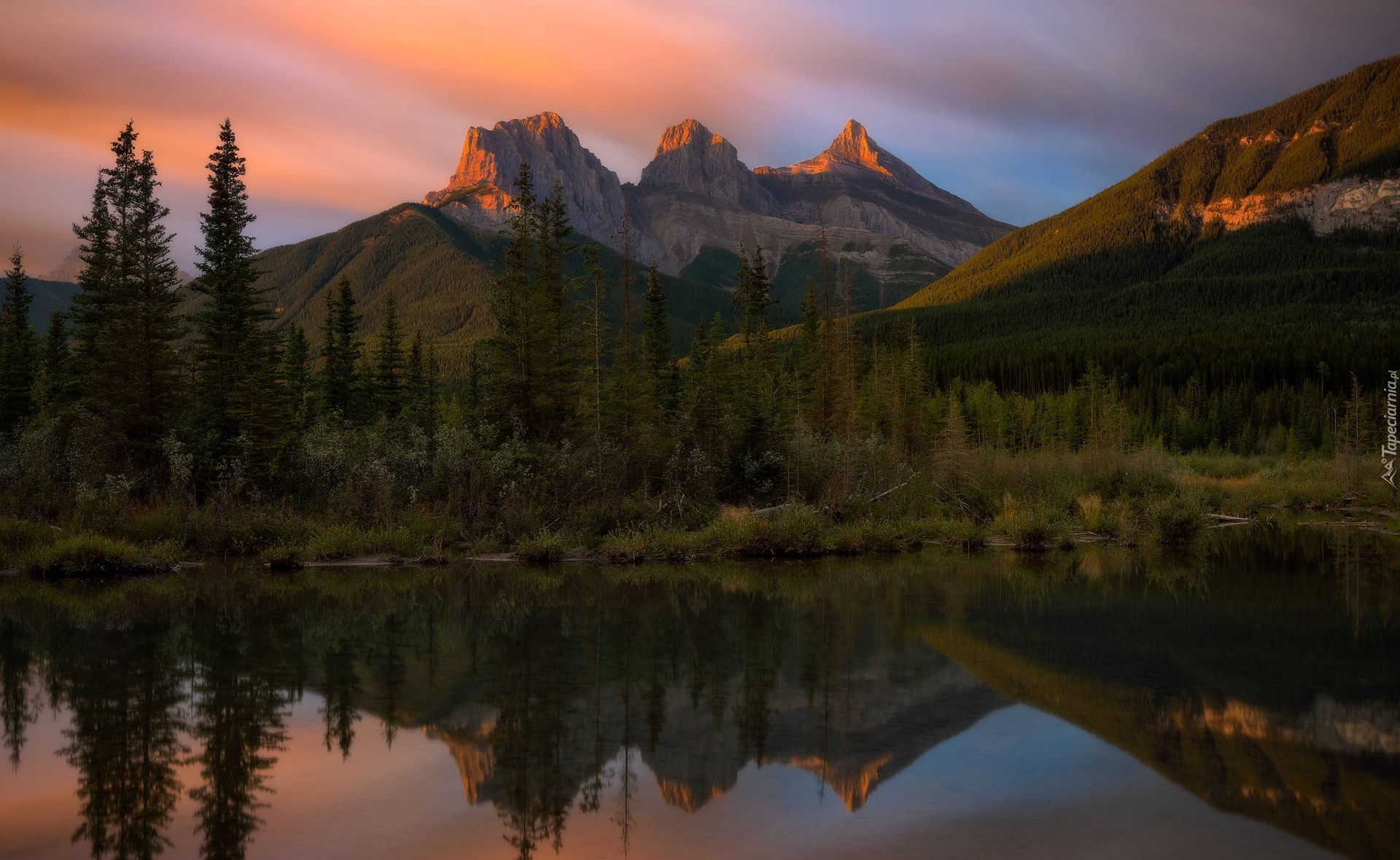 Kanada, Alberta, Canmore, Góry, Canadian Rockies, Góra Three Sisters, Rzeka, Policeman Creek, Las, Drzewa, Krzewy, Odbicie