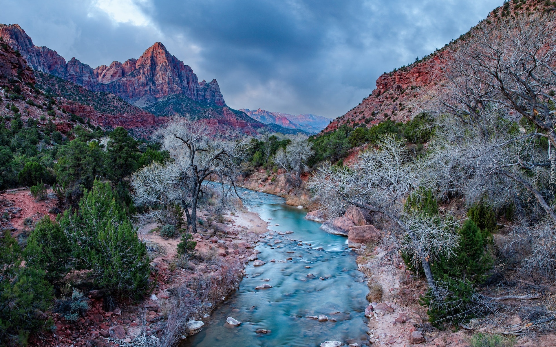 Góra Watchman, Góry, Rzeka, Virgin River, Drzewa, Park Narodowy Zion, Utah, Stany Zjednoczone