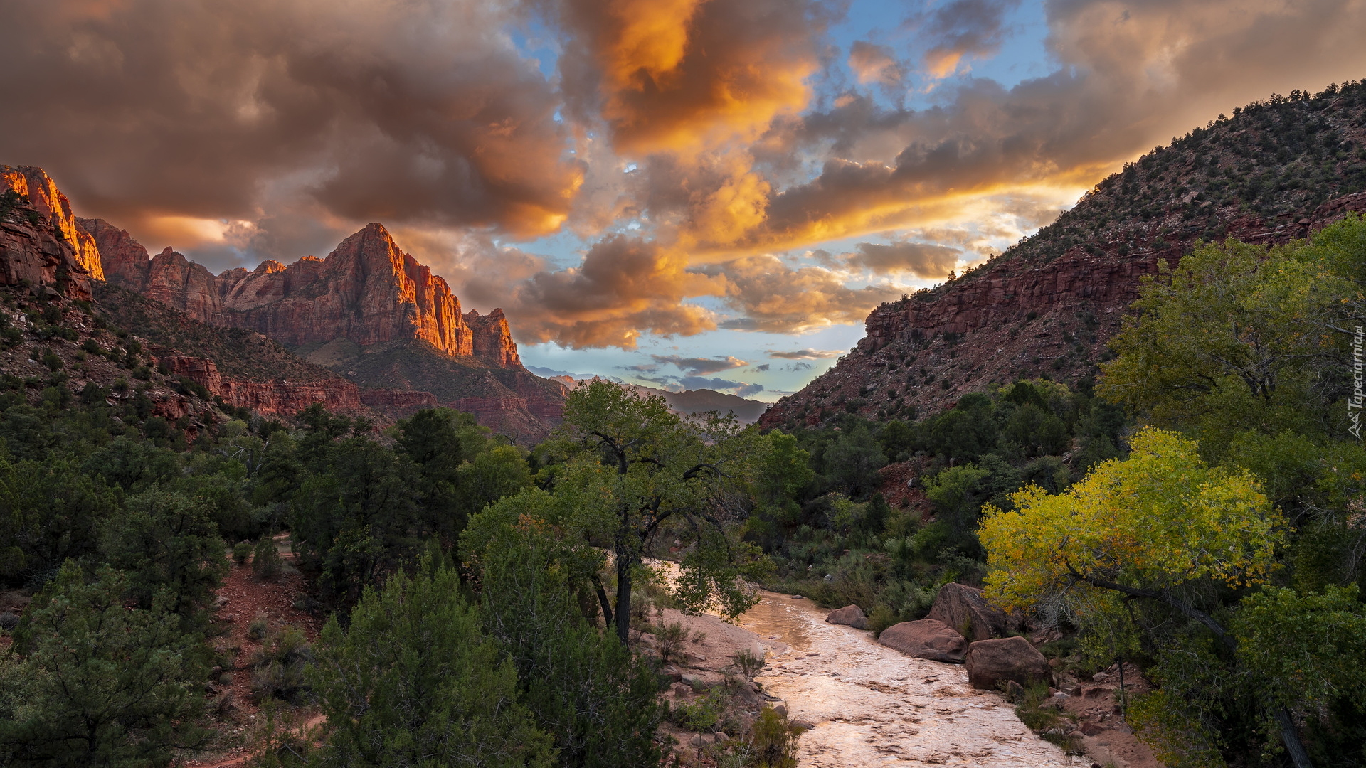 Stany Zjednoczone, Stan Utah, Park Narodowy Zion, Góry, Góra Watchman, Rzeka, Virgin River, Drzewa