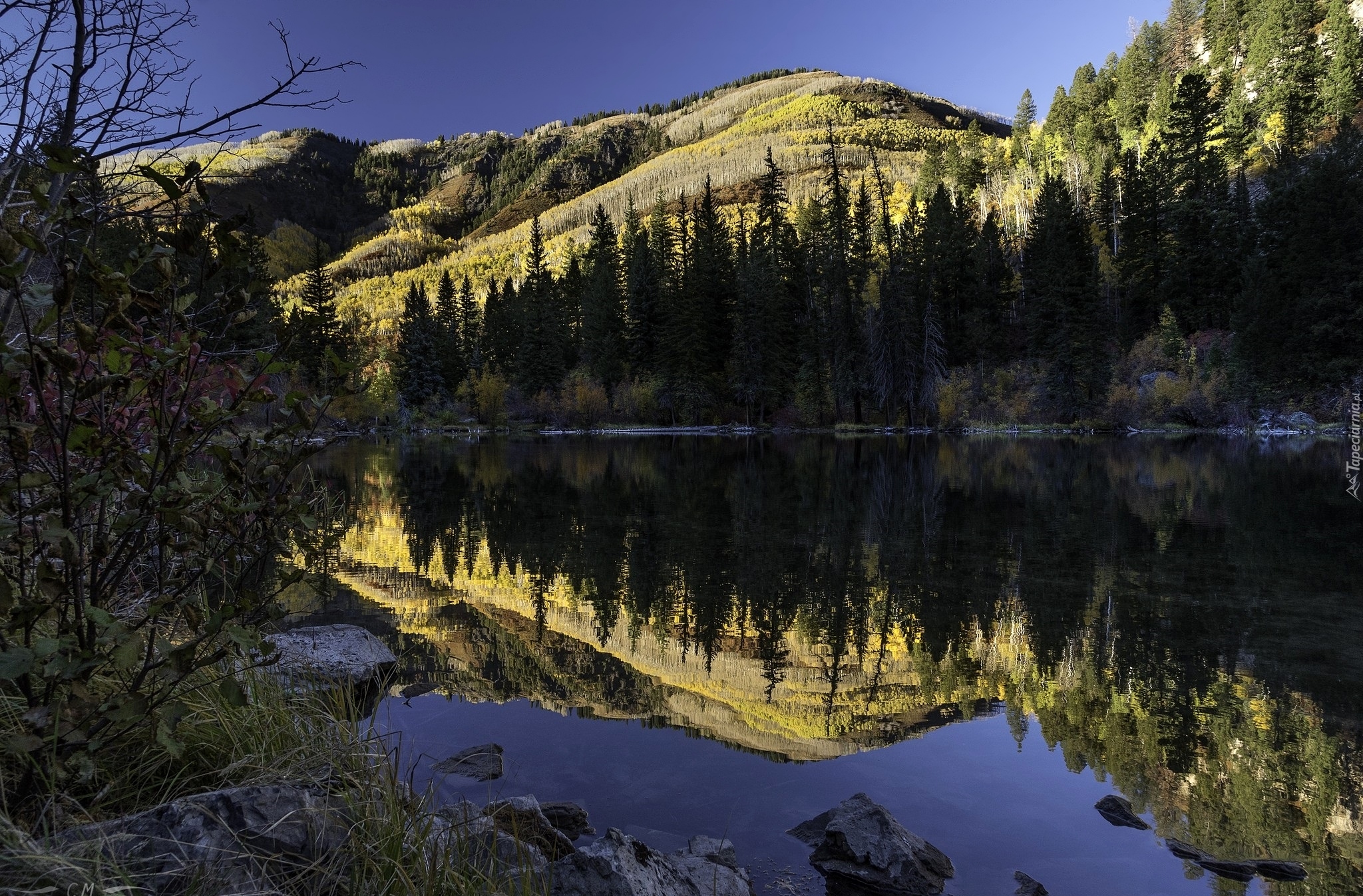 Góra Whitehouse Mountain, Hrabstwo San Juan, Kolorado, Stany Zjednoczone, Jezioro, Drzewa, Odbicie