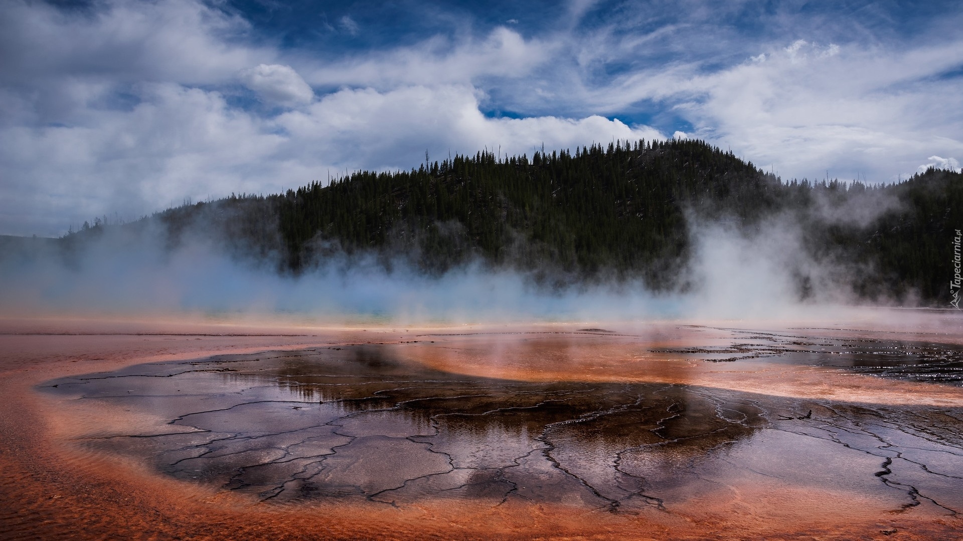 Gejzer, Gorące żródło, Grand Prismatic Spring, Góra, Drzewa, Park Narodowy Yellowstone, Wyoming, Stany Zjednoczone