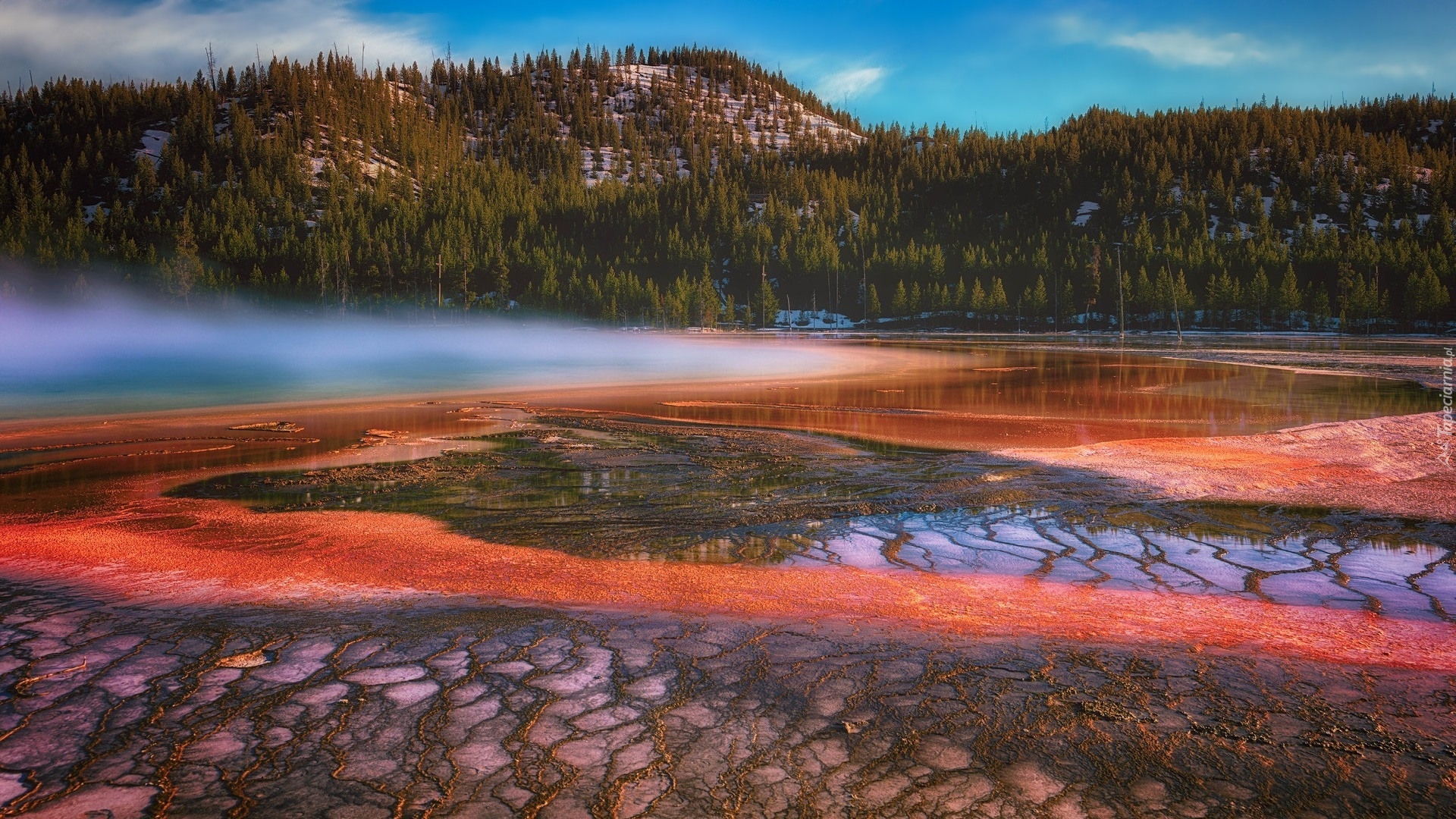 Gejzer, Gorące źródło, Grand Prismatic Spring, Góra, Drzewa, Park Narodowy Yellowstone, Stan Wyoming, Stany Zjednoczone