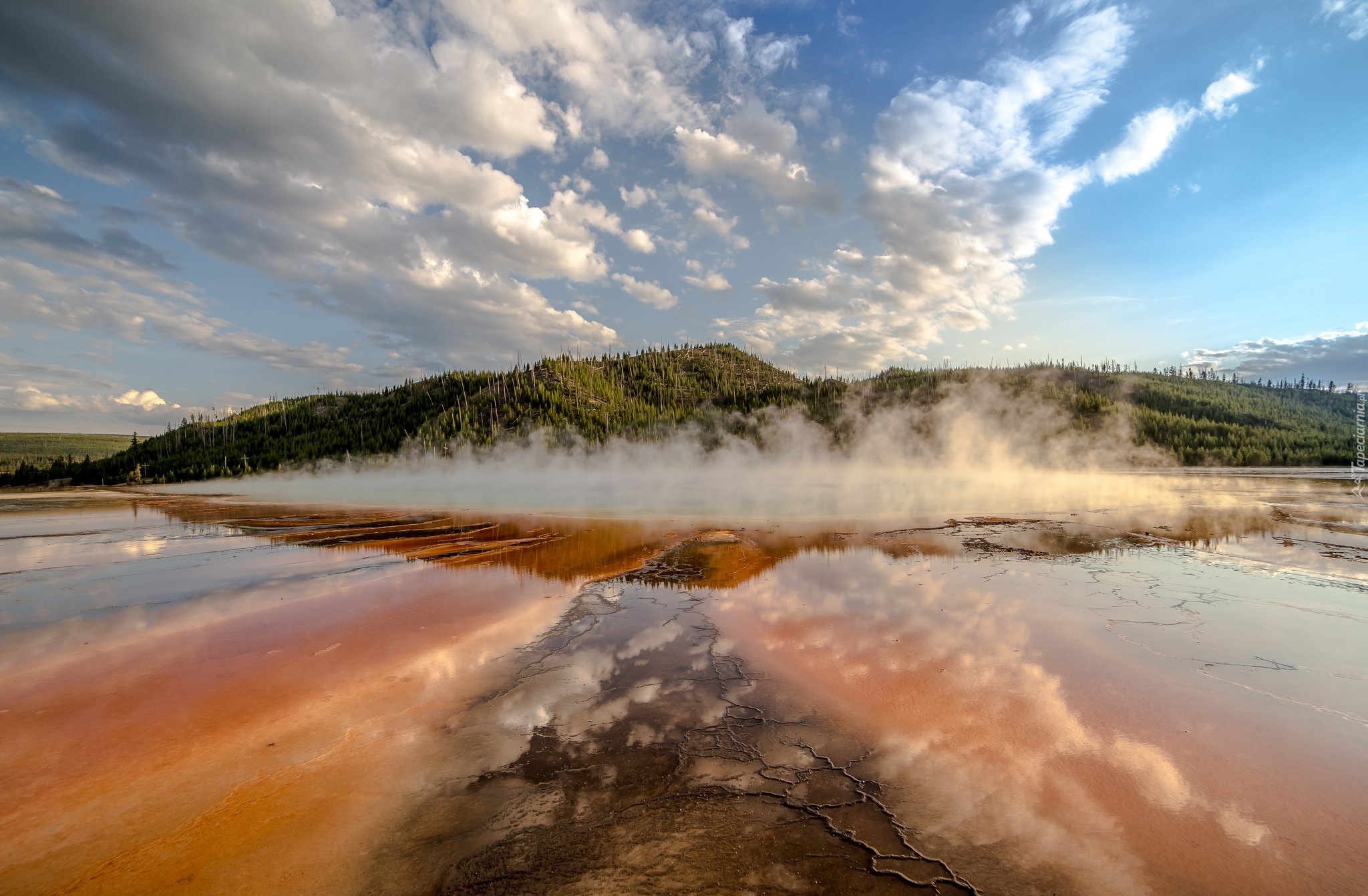 Stany Zjednoczone, Park Narodowy Yellowstone, Gorące, Źródło, Opary,  Zalesione, Wzgórze, Chmury