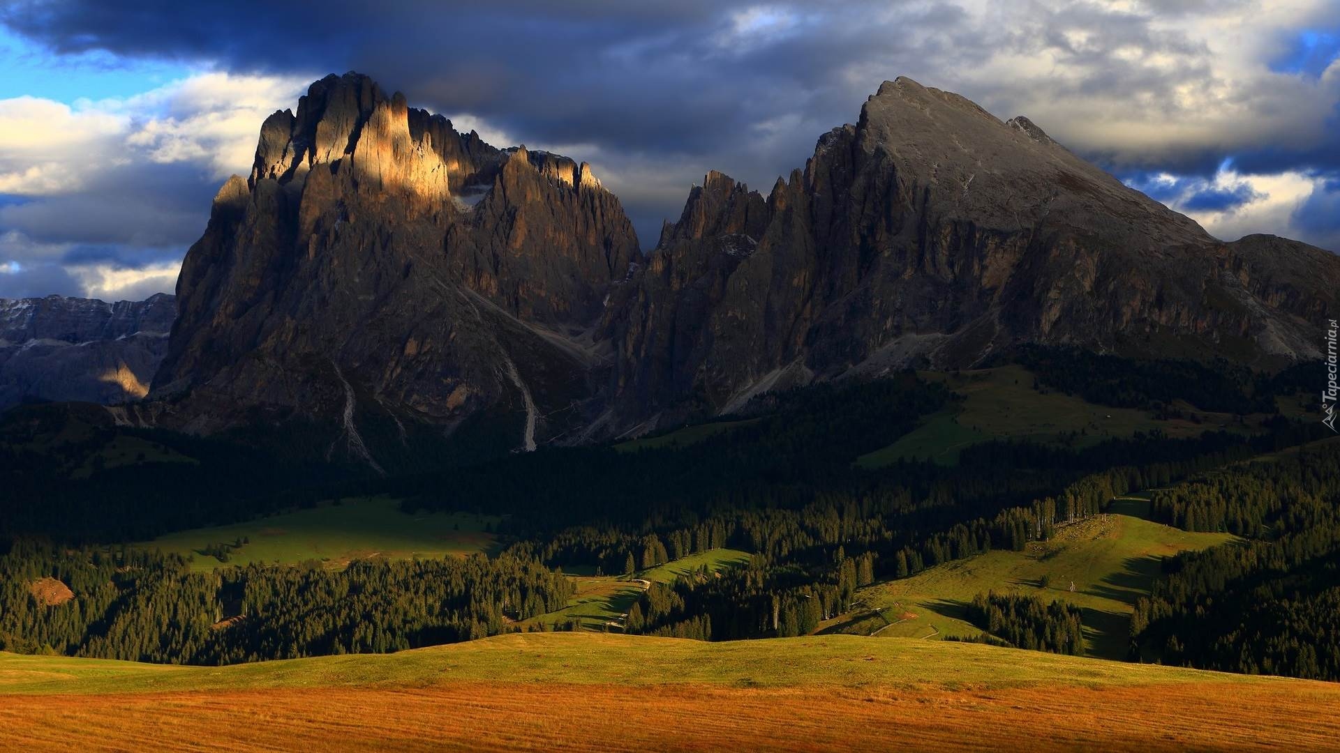 Góry, Dolina, Drzewa, Lasy