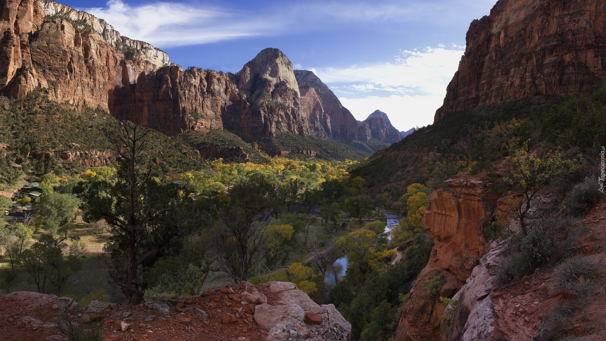 Góry, Skały, Rzeka, Virgin River, Drzewa, Rośliny, Park Narodowy Zion, Utah, Stany Zjednoczone