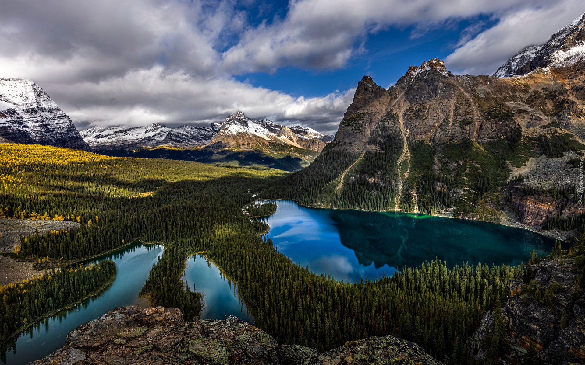 Drzewo, Góry, Jezioro, Mary Lake, Jezioro OHara, Las, Park, Park Narodowy Yoho, Kanada