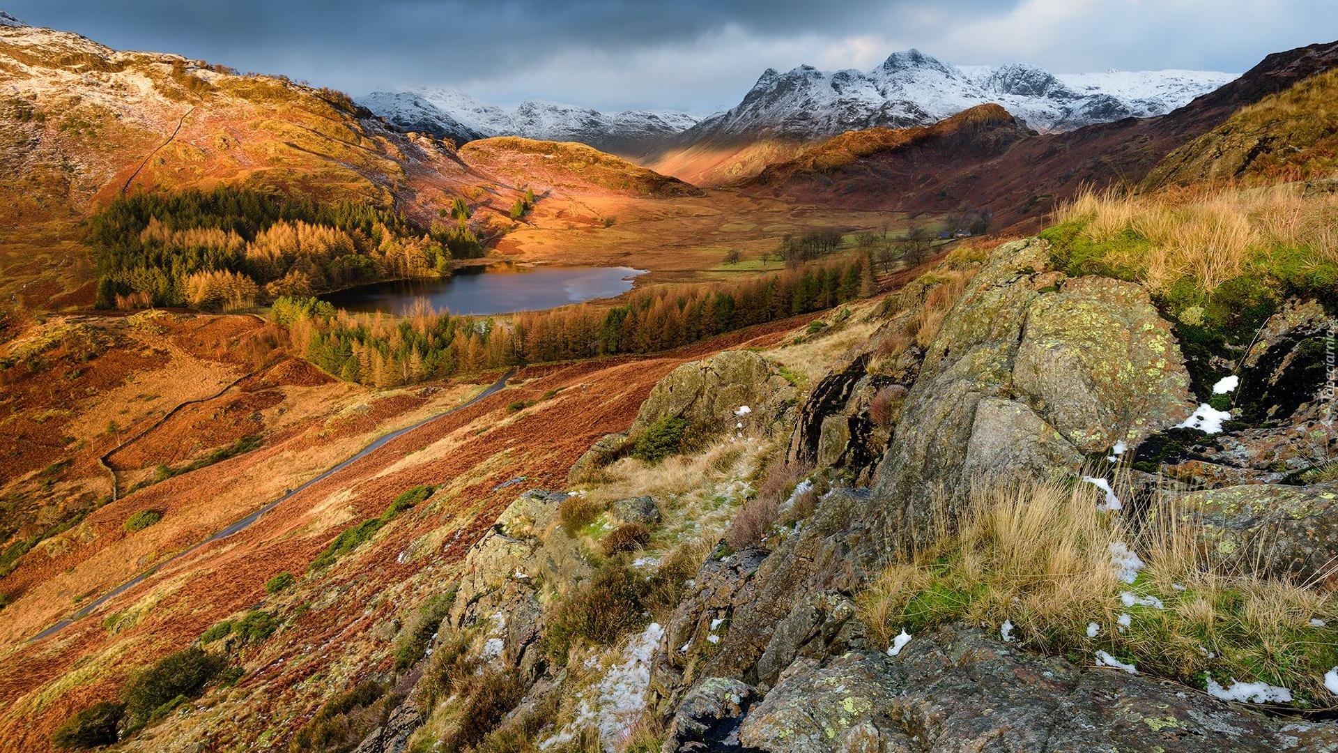 Góry, Dolina, Jezioro, Blea Tarn, Drzewa, Skały, Chmury, Park Narodowy Lake District, Anglia