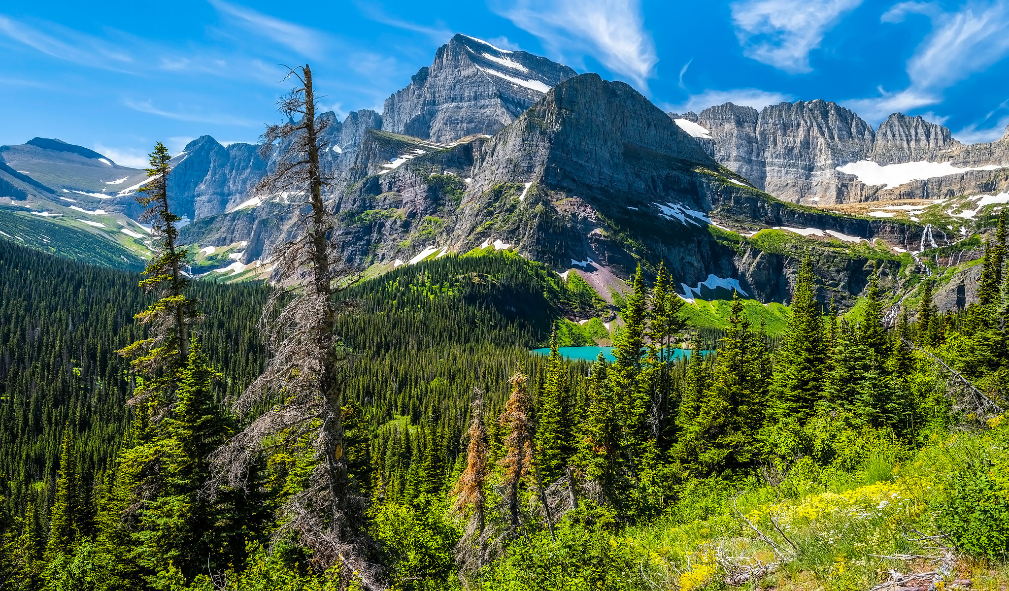 Park Narodowy Glacier, Montana, Stany Zjednoczone, Drzewa, Góry, Jezioro, Rośliny