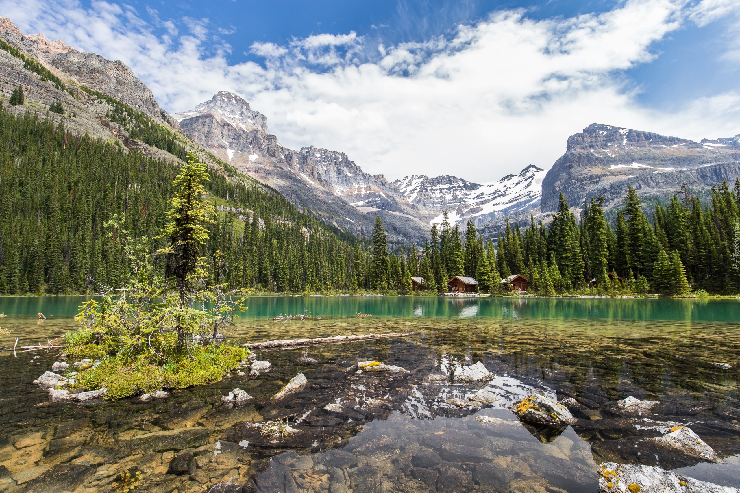 Kanada, Kolumbia Brytyjska, Góry Canadian Rockies, Park Narodowy Yoho, Jezioro Lake O’Hara, Kamienie, Świerki, Domki