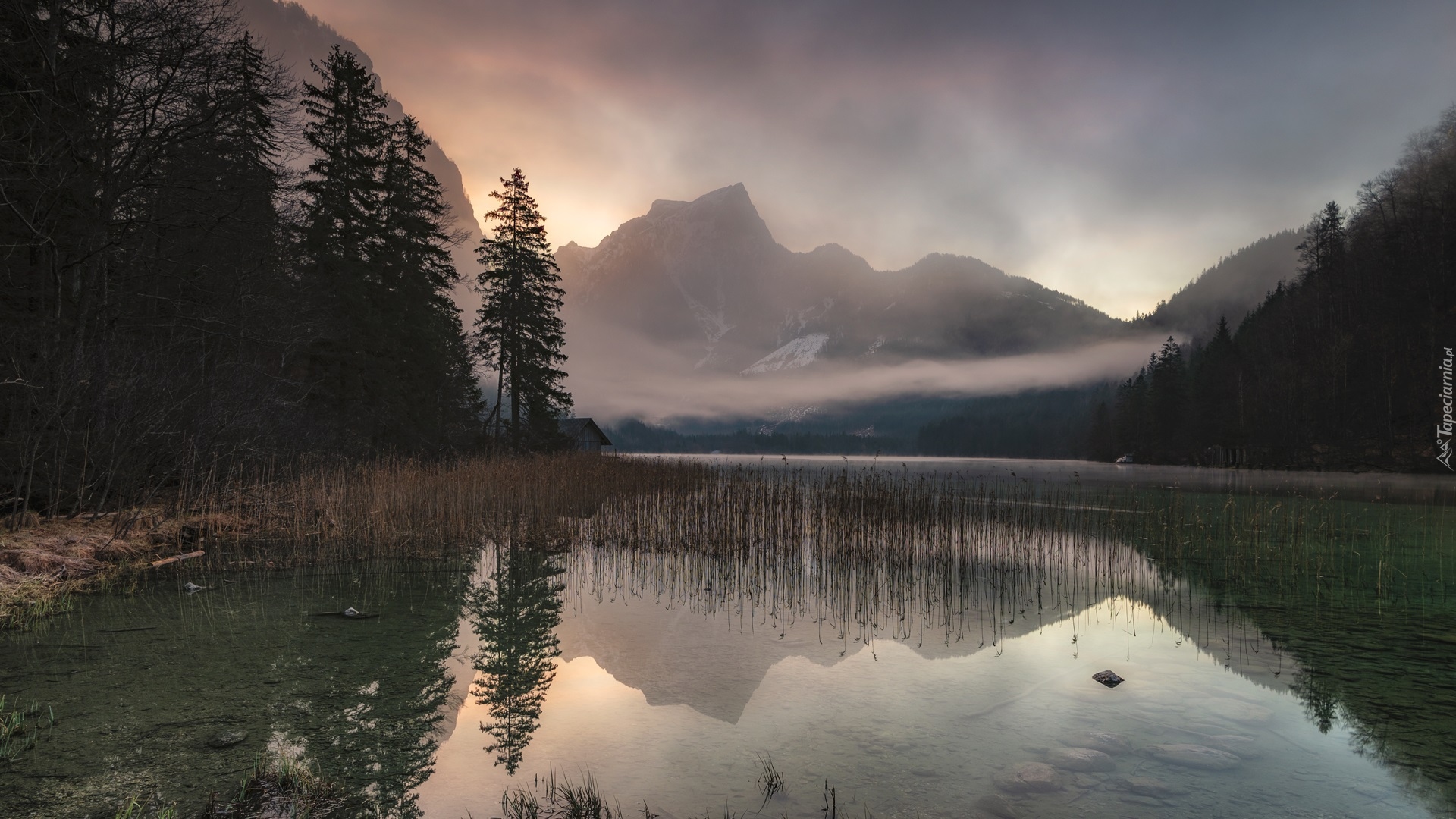 Góry, Jezioro, Leopoldsteinersee, Drzewa, Mgła, Austria