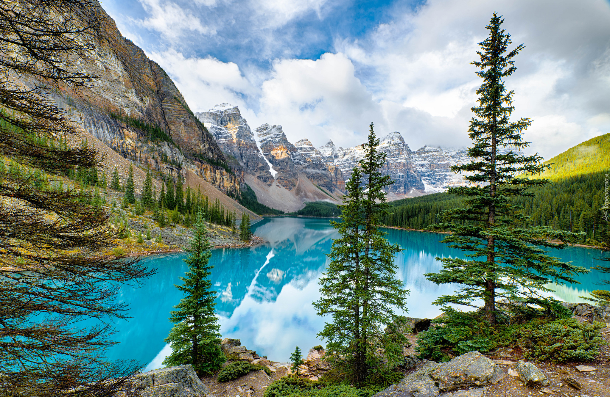 Kanada, Prowincja Alberta, Park Narodowy Banff, Jezioro Moraine, Las, Drzewa, Góry