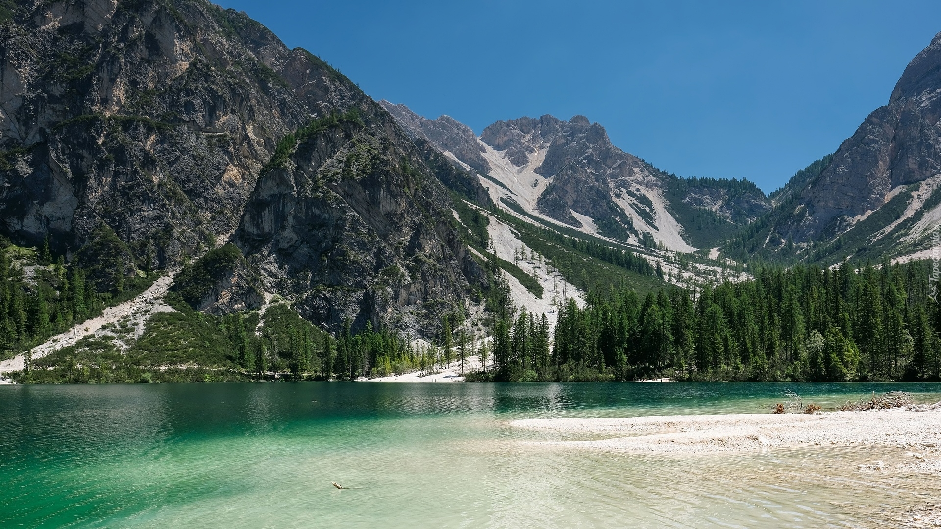 Góry, Dolomity, Drzewa, Jezioro Pragser Wildsee, Lago di Braies, Dolina Val Pusteria, Włochy