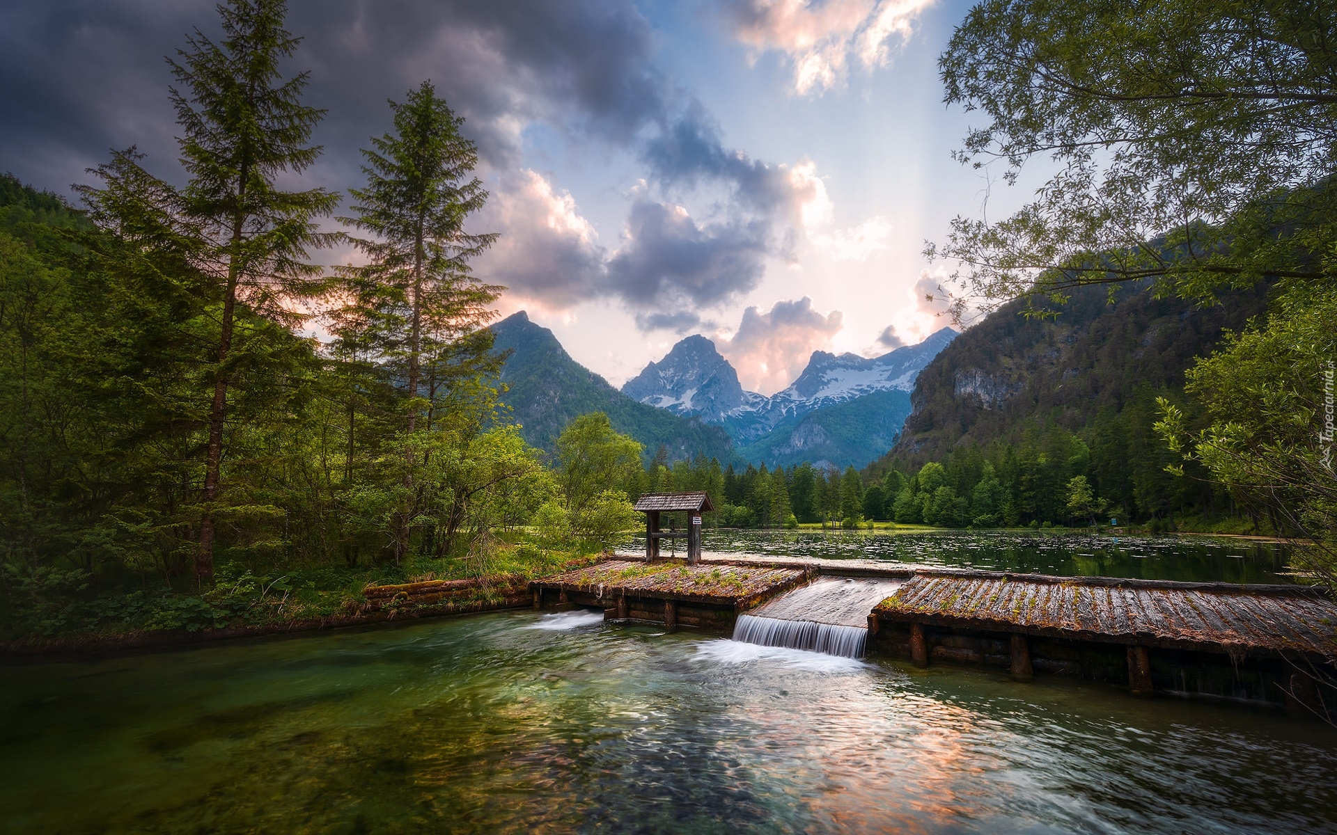 Góry, Alpy, Drzewa, Jezioro Schiederweiher, Hinterstoder, Austria