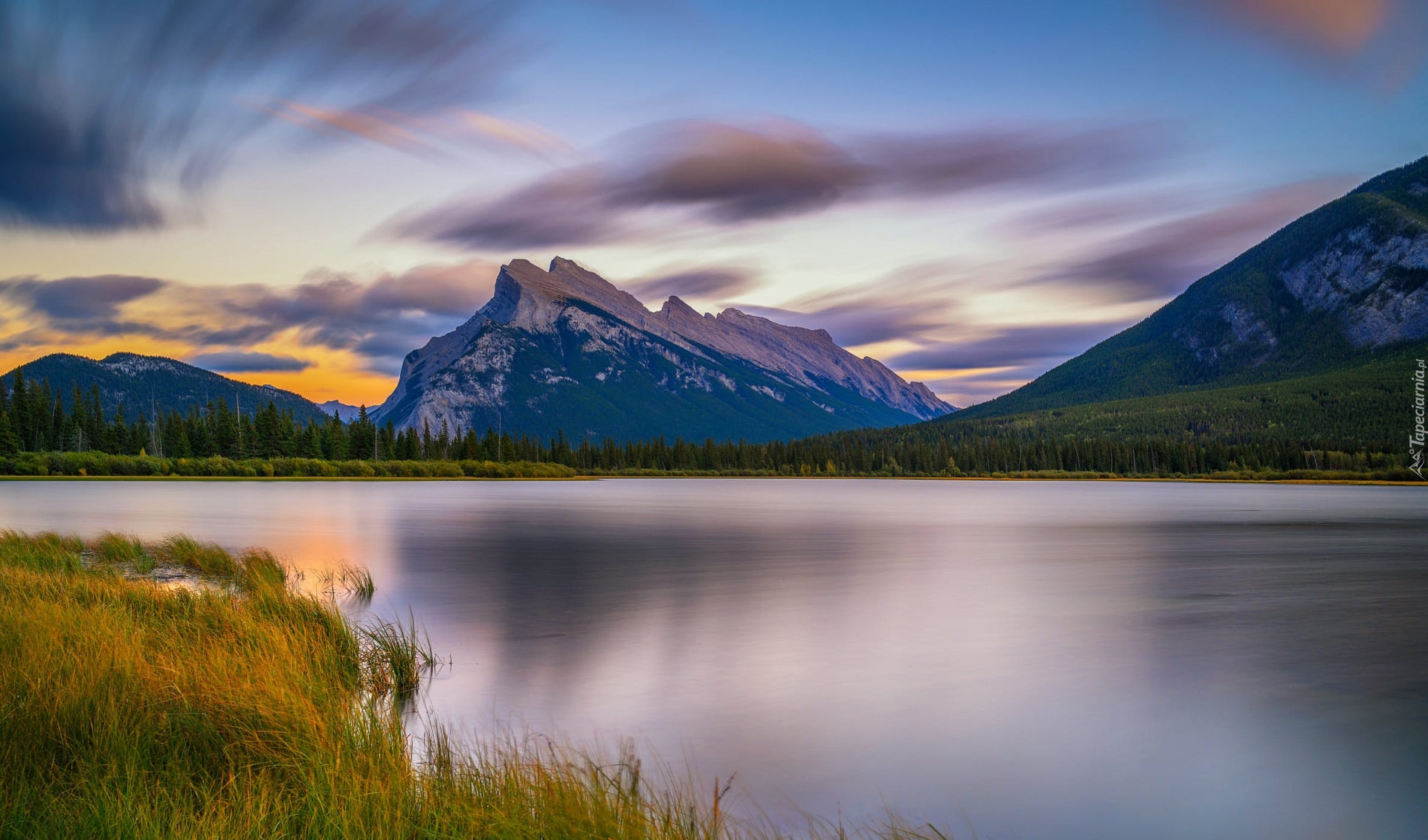 Park Narodowy Banff, Góry, Jezioro, Vermilion Lakes, Las, Drzewa, Alberta, Kanada