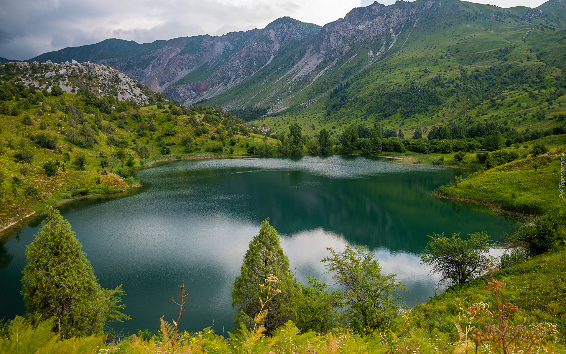 Góry, Lasy, Drzewa, Jezioro Sary Chelek, Roślinność, Prowincja Jalal Abad, Kirgistan