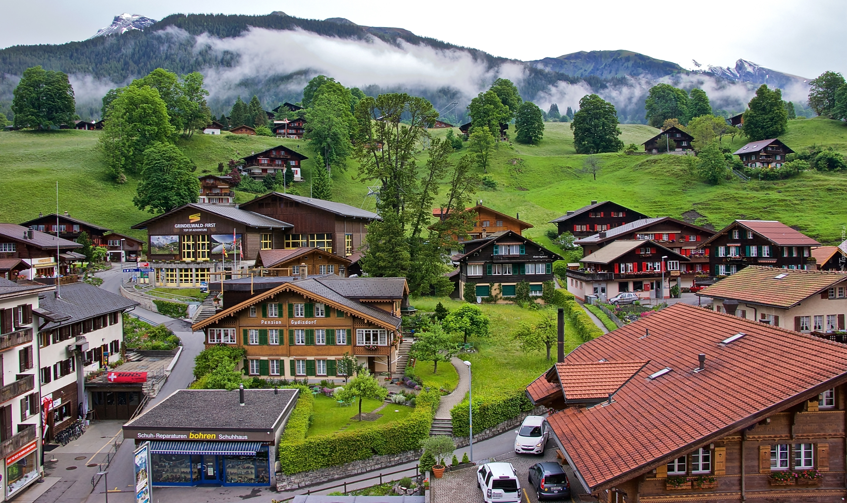 Wioska, Górska, Grindelwald, Domy, Drzewa, Alpy, Mgła, Szwajcaria