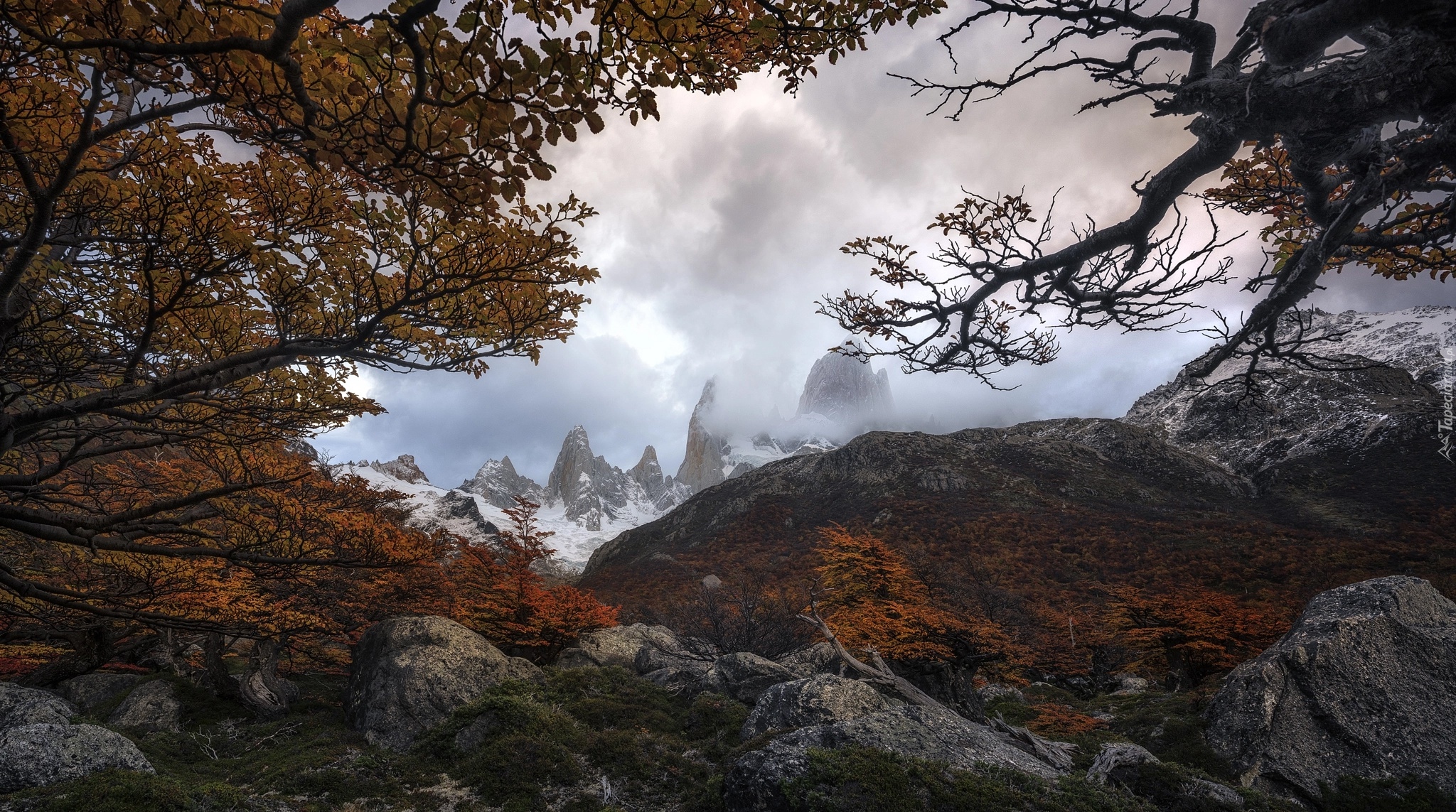Jesień, Góry Andy, Park Narodowy Los Glaciares, Drzewa, Gałęzie, Kamienie, Patagonia, Argentyna