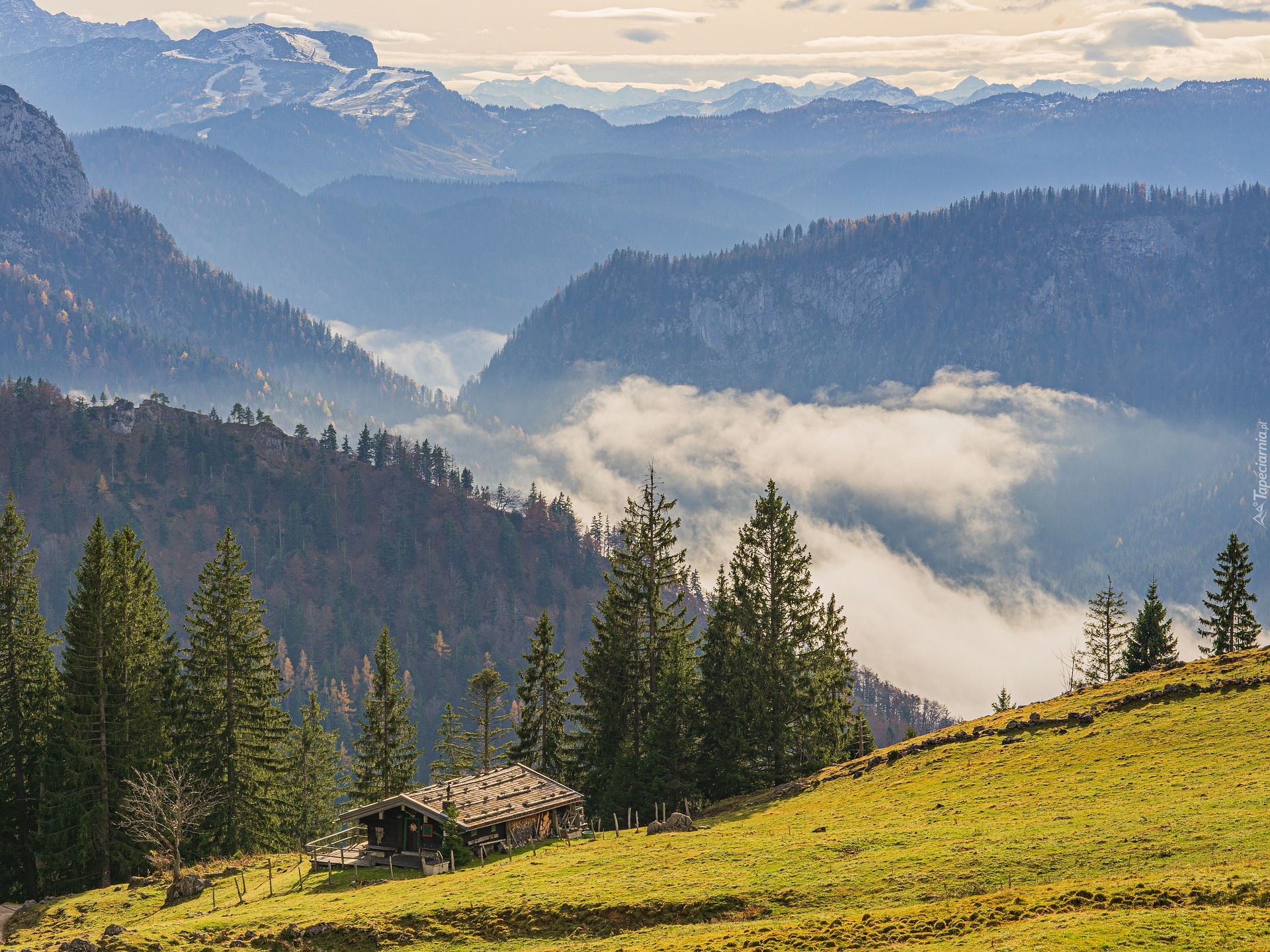 Góry, Bayerische Voralpen, Alpy, Mgła, Dom, Las, Drzewa, Bawaria, Region Chiemgau, Niemcy