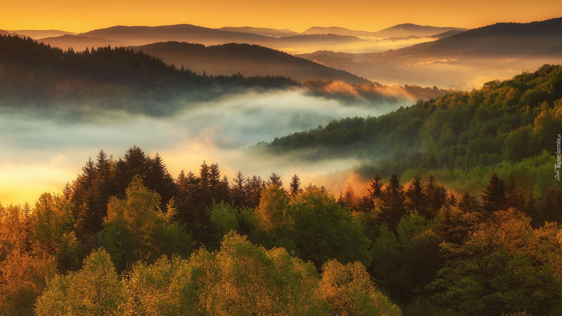 Góry, Beskidy, Lasy, Zawoja, Mgła, Wschód słońca, Polska