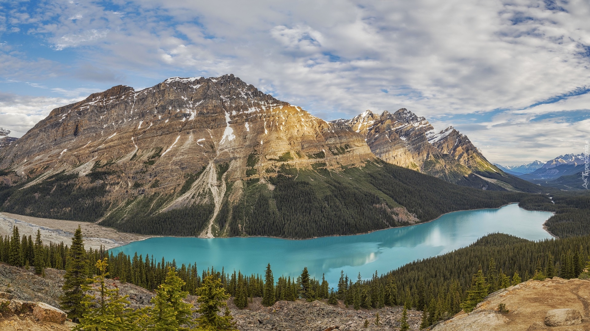 Park Narodowy Banff, Góry, Canadian Rockies, Jezioro, Peyto Lake, Lasy, Drzewa, Alberta, Kanada