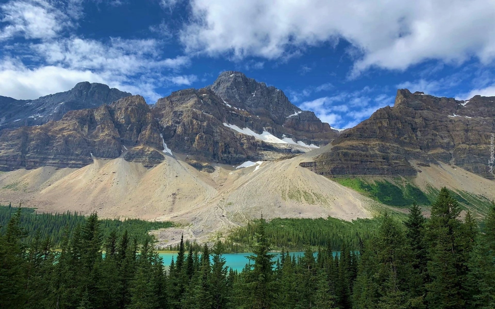 Kanada, Alberta, Park Narodowy Banff, Góry, Canadian Rockies, Jezioro, Bow Lake, Drzewa