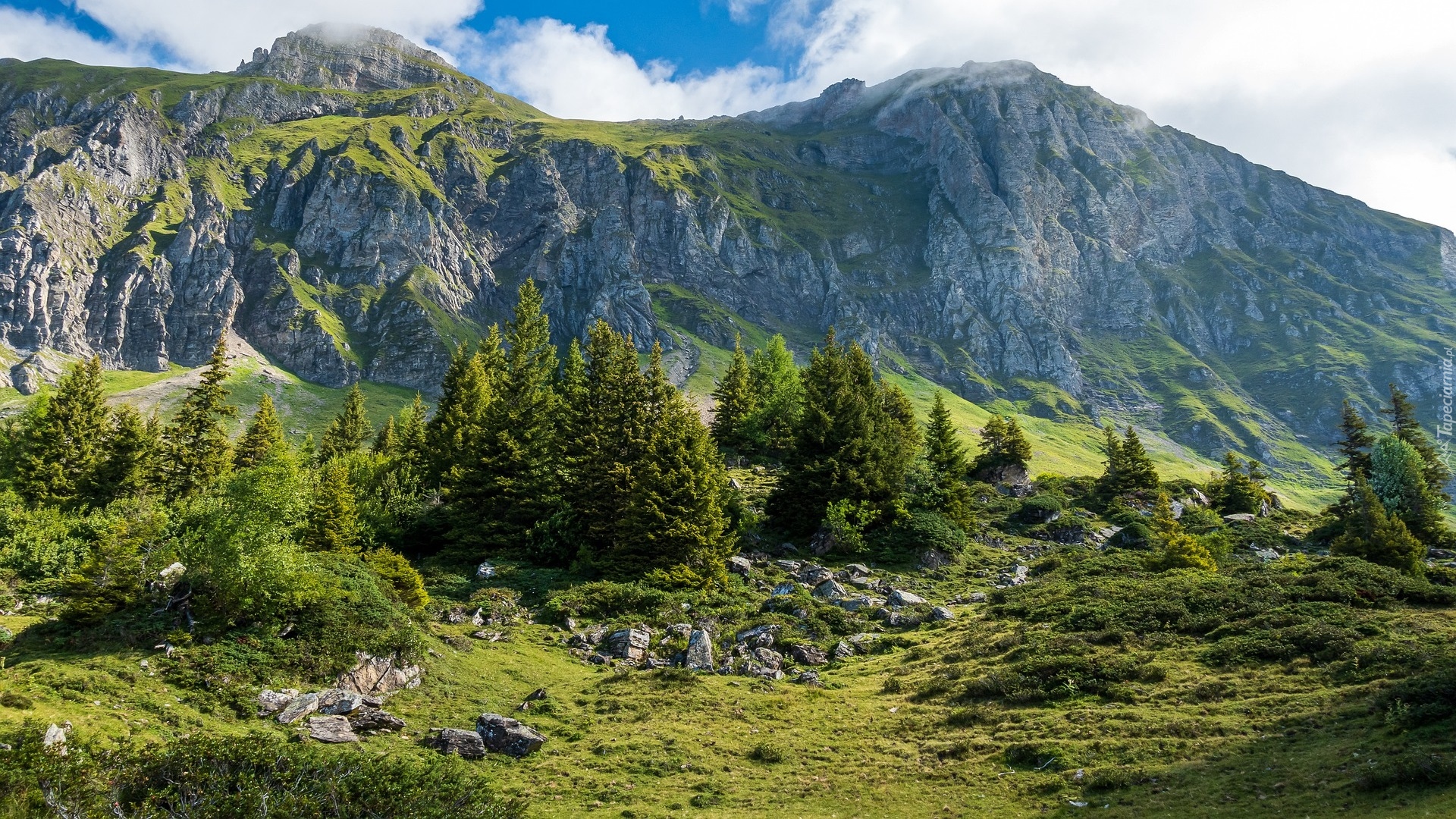 Góry Churfirsten, Dolina, Drzewa, Skały, Kanton Sankt Gallen, Szwajcaria