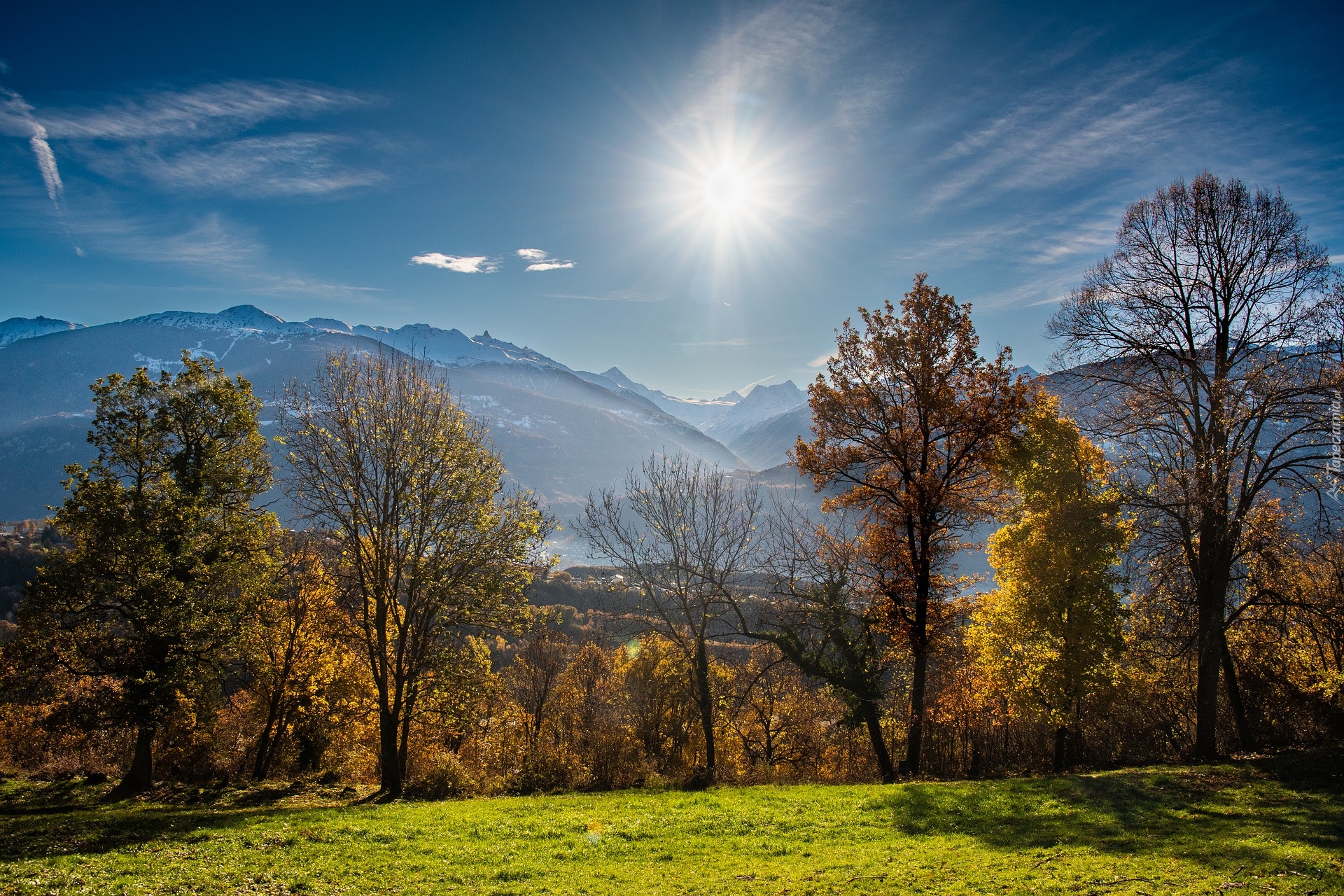 Jesień, Drzewa, Góry, Alpy Pennińskie, Słoneczny, Blask, Kanton Valais, Szwajcaria