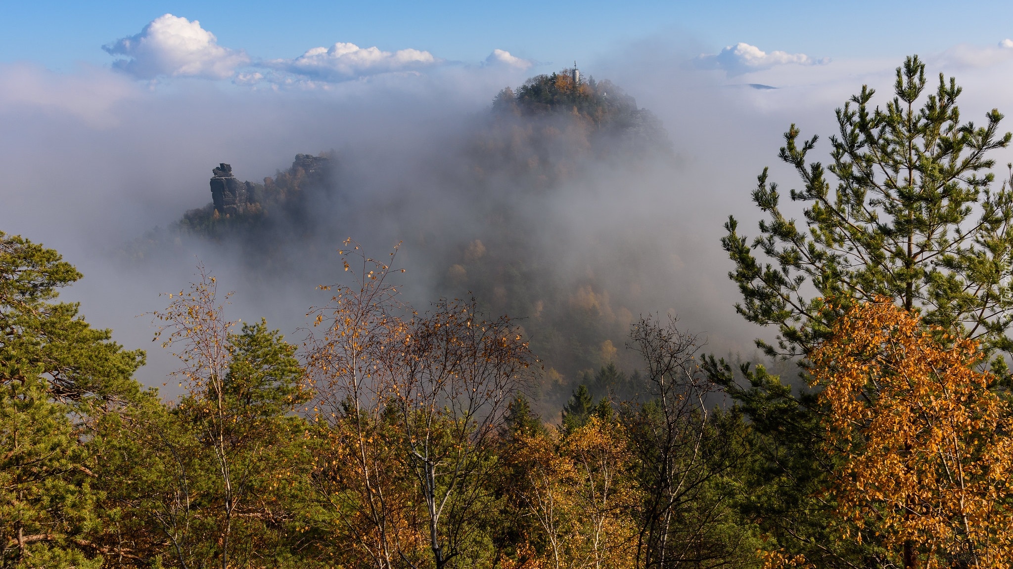 Góry, Mgła, Drzewa, Skała