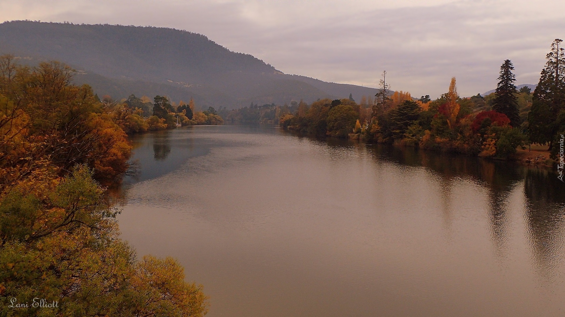 Jesień, Góry, Rzeka, Derwent River, Drzewa, Australia