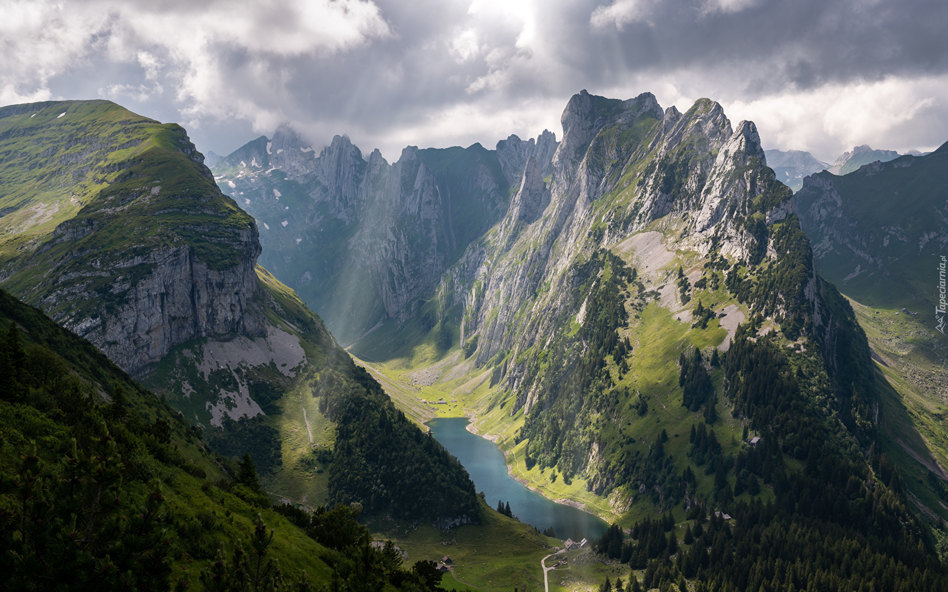 Szwajcaria, Góry, Alpy, Dolina, Jezioro Falensee, Drzewa