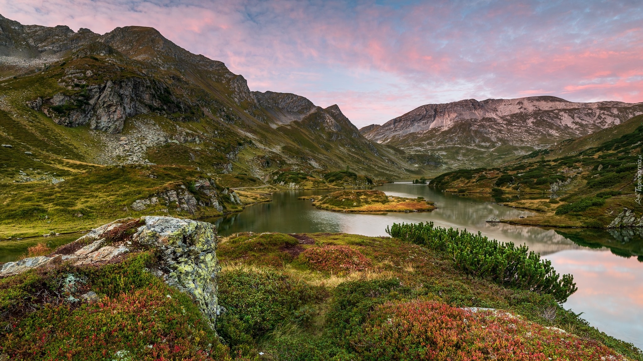 Góry, Jezioro Giglachseen, Roślinność, Austria